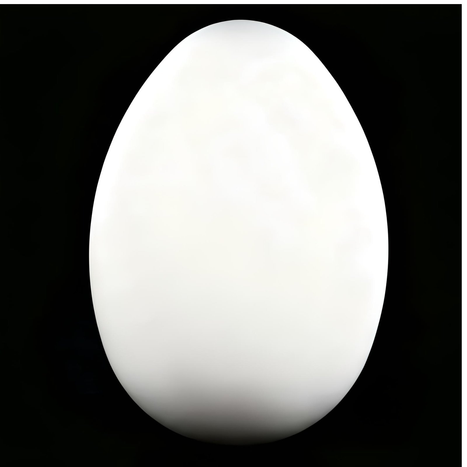 Eggshell Flower Arrangement