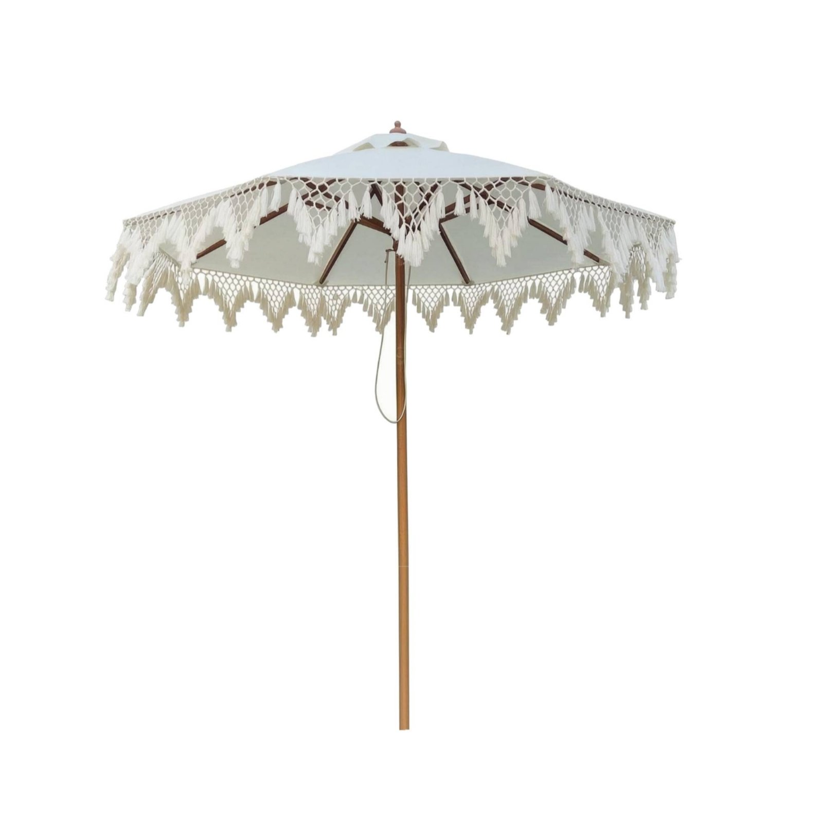 Fringed Parasol