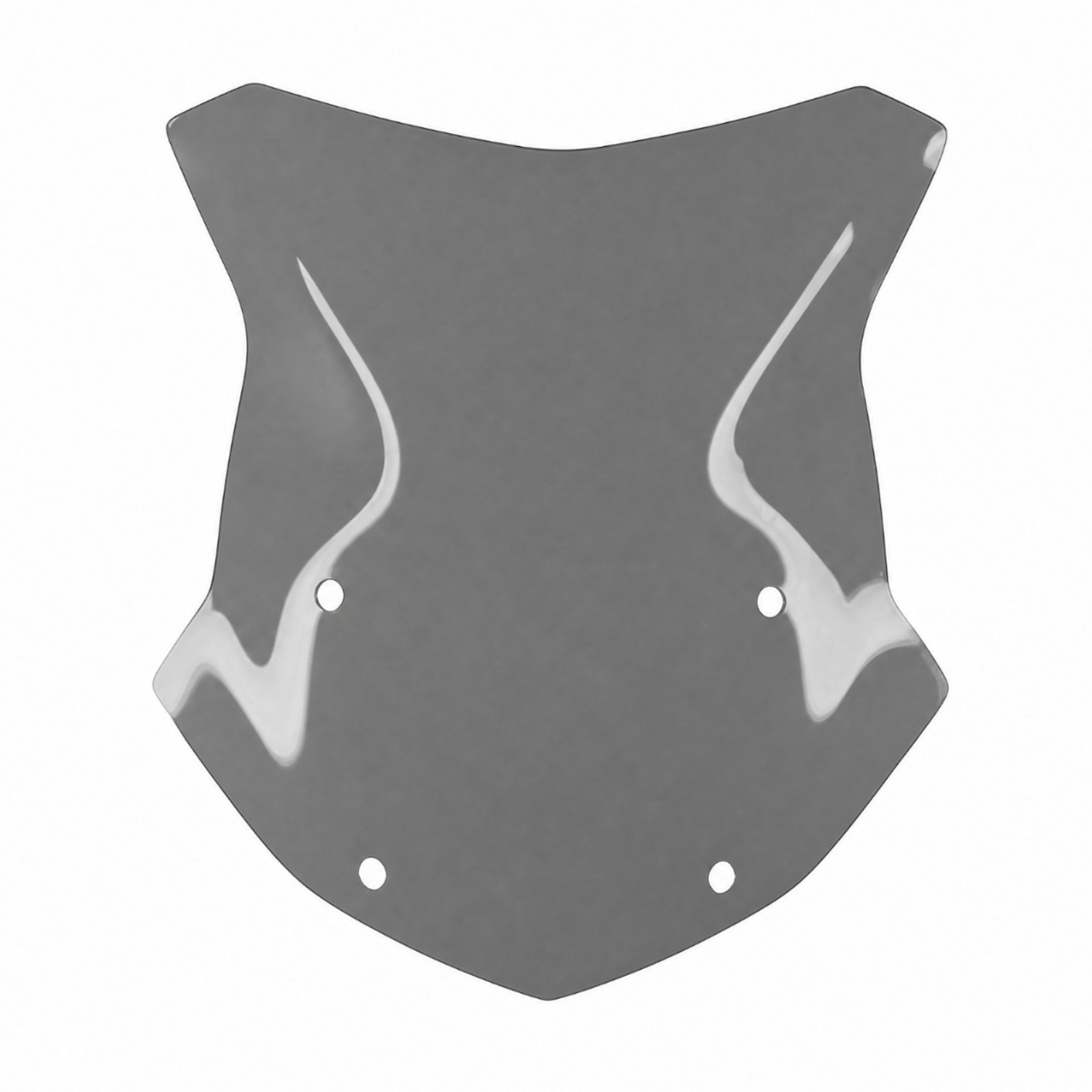 R1250GS Motorcycle Windshield