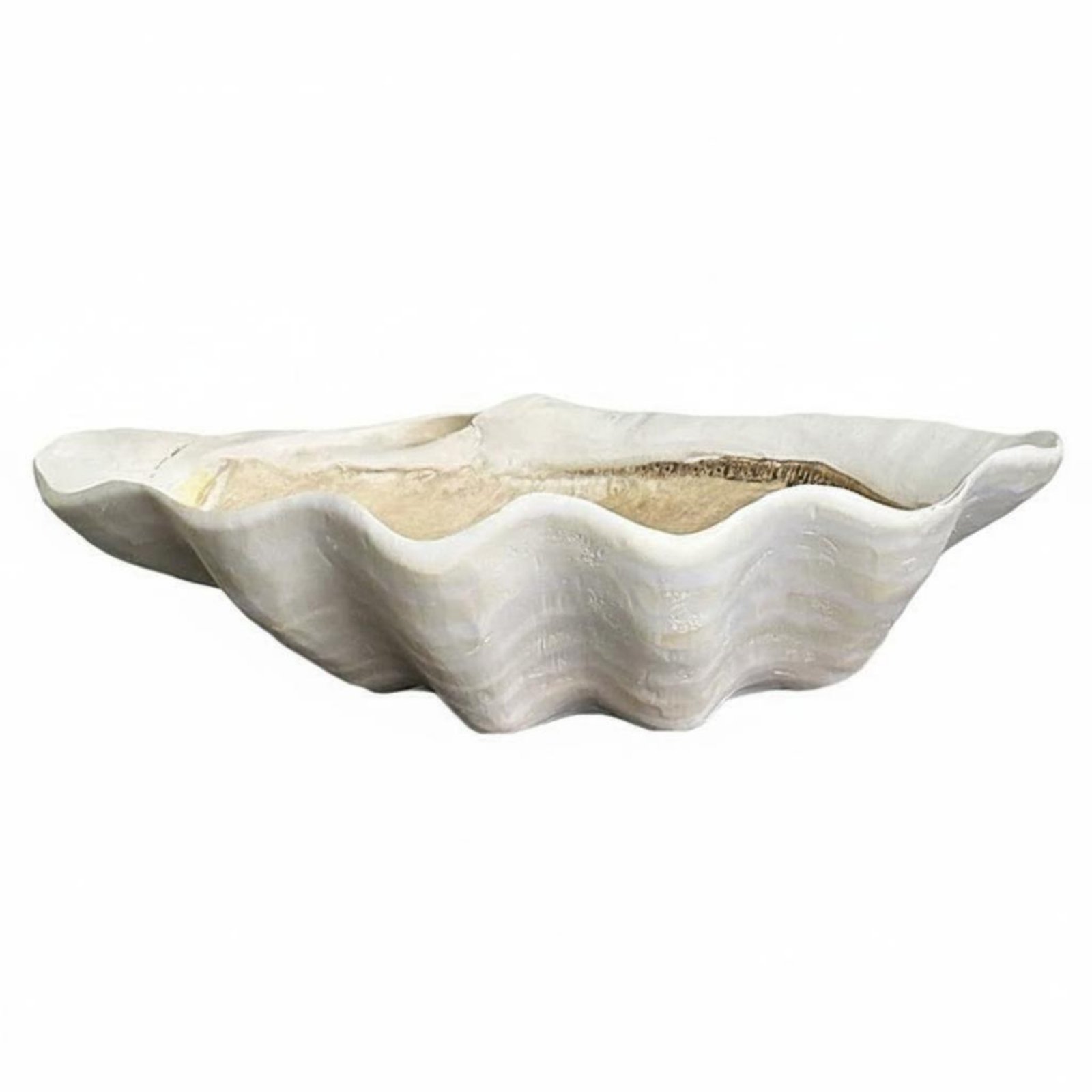 Resin Seashell Tray