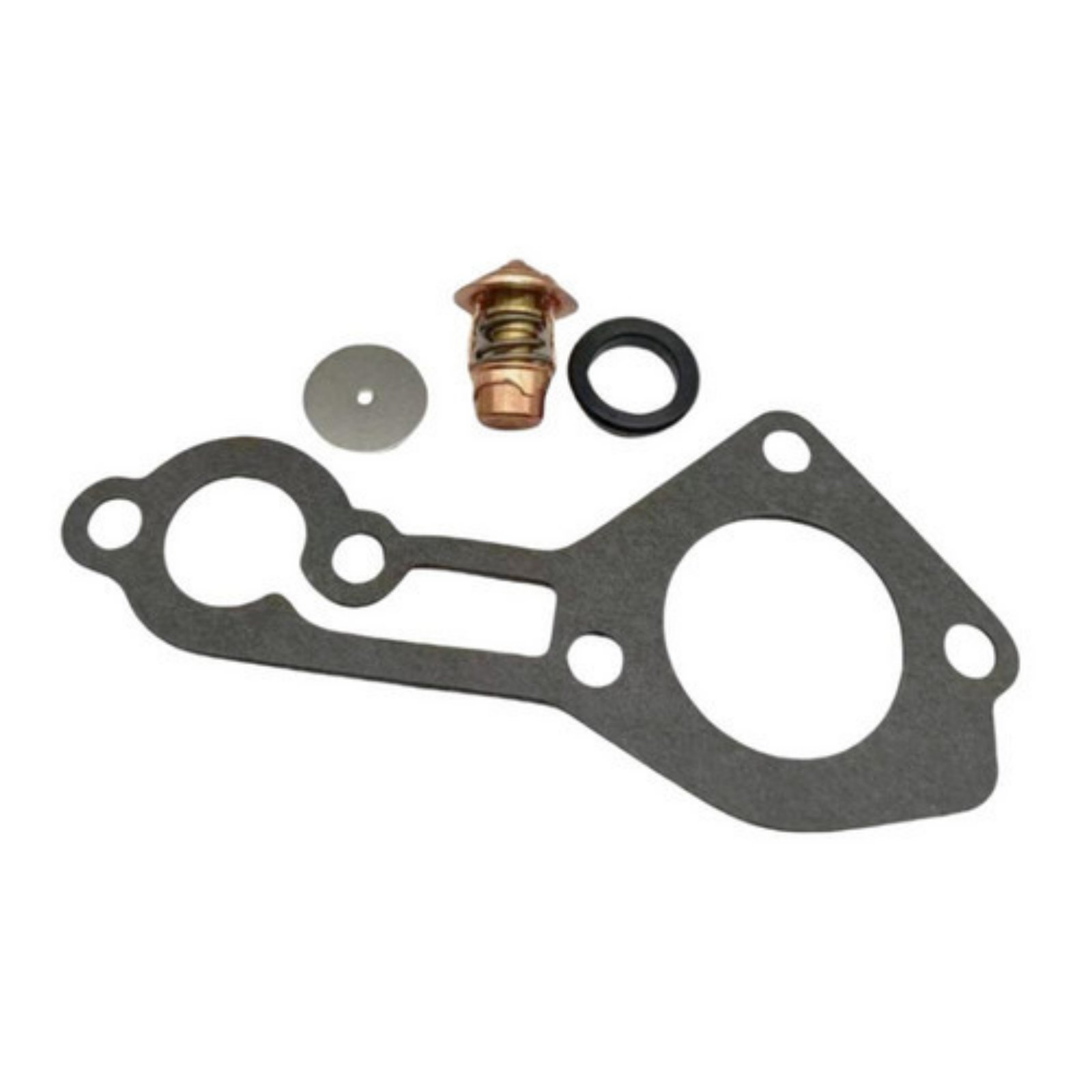 Thermostat Kit