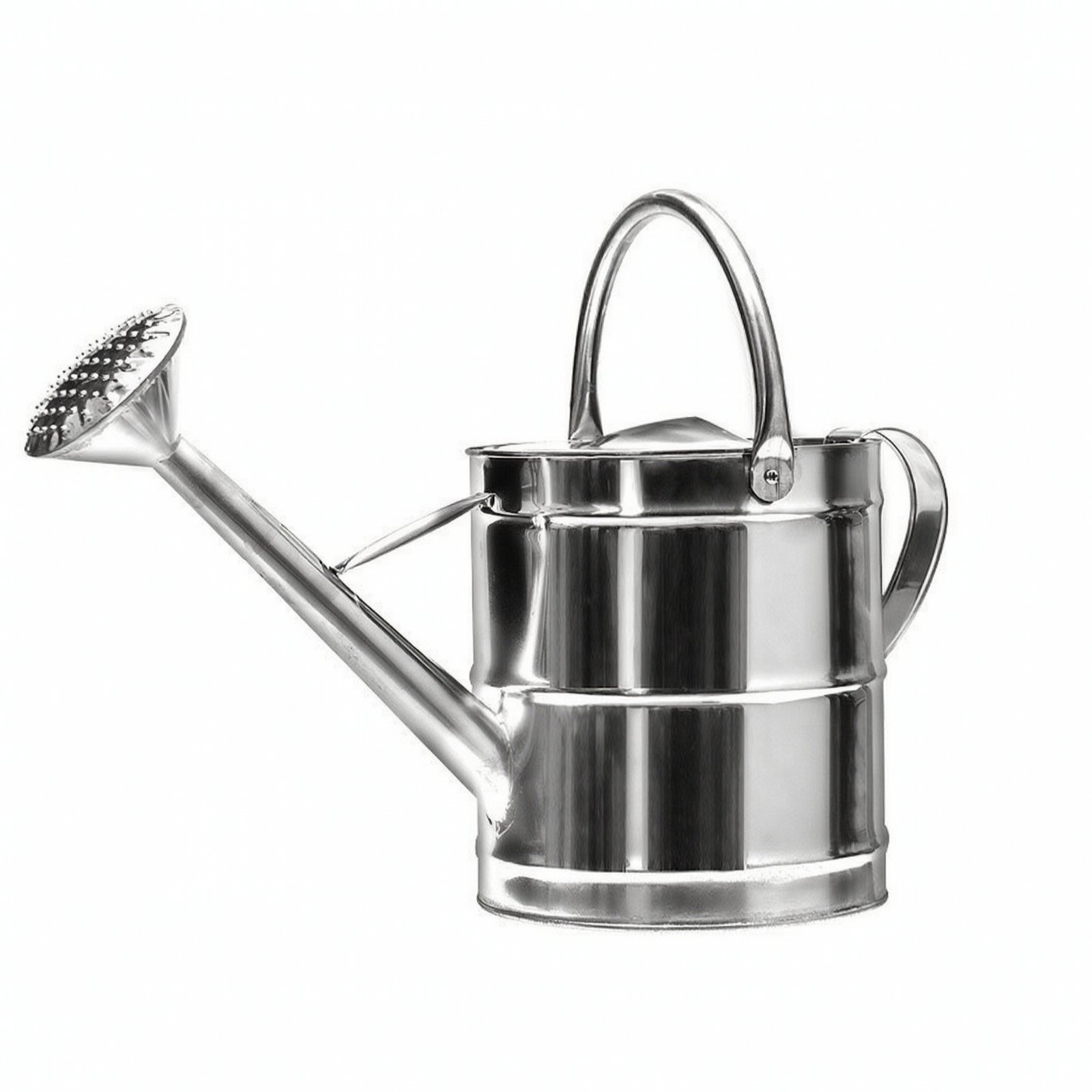 Stainless Steel Watering Can – 8L