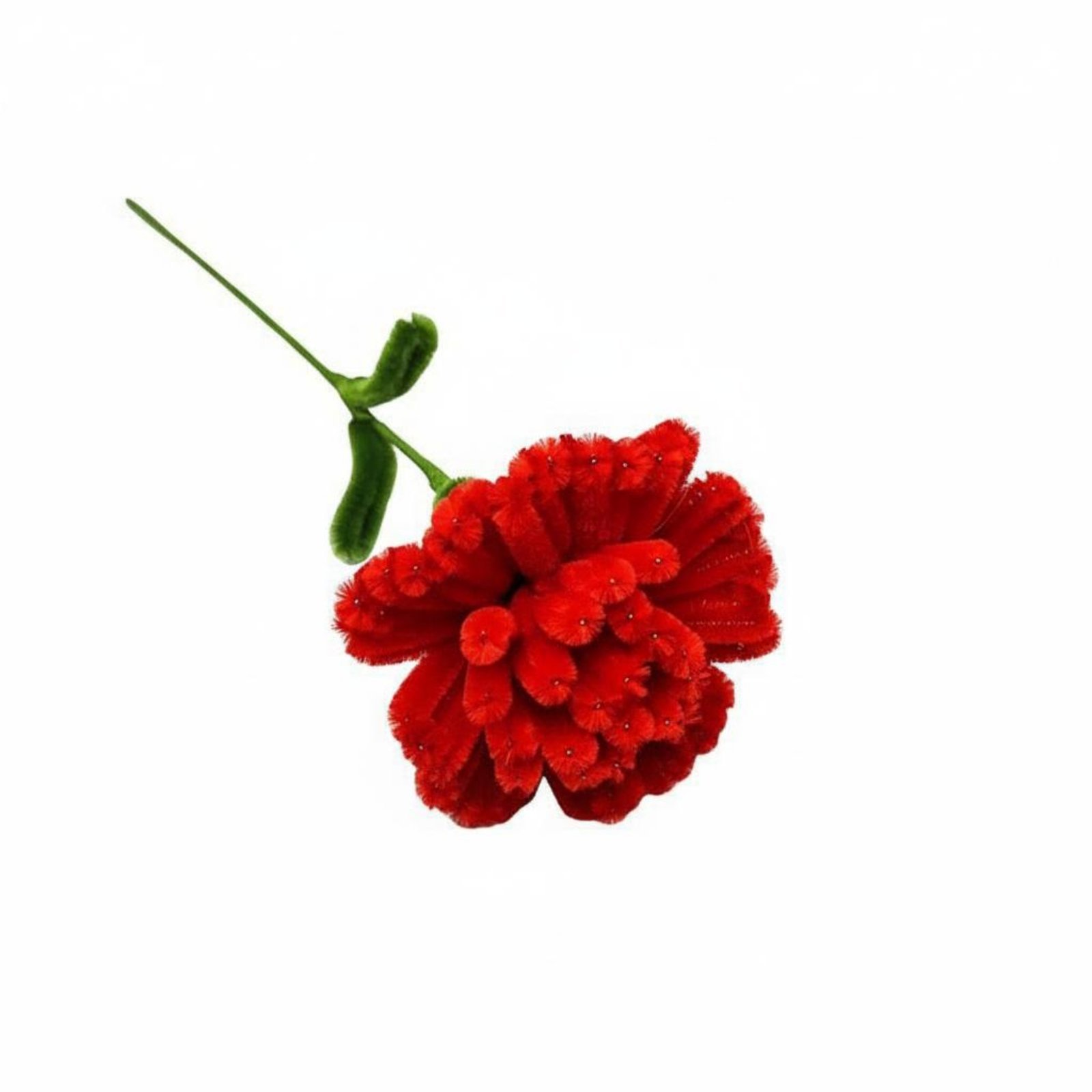 Chenille Stem Carnation