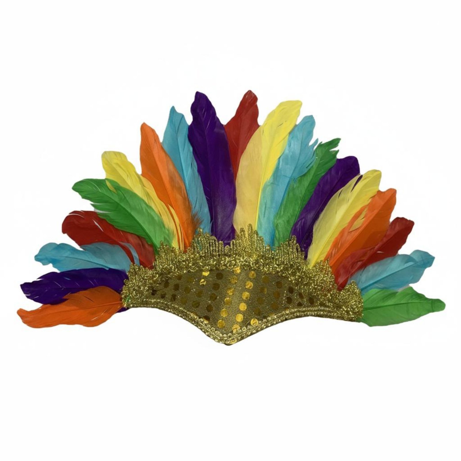 Colorful Feather Headdress