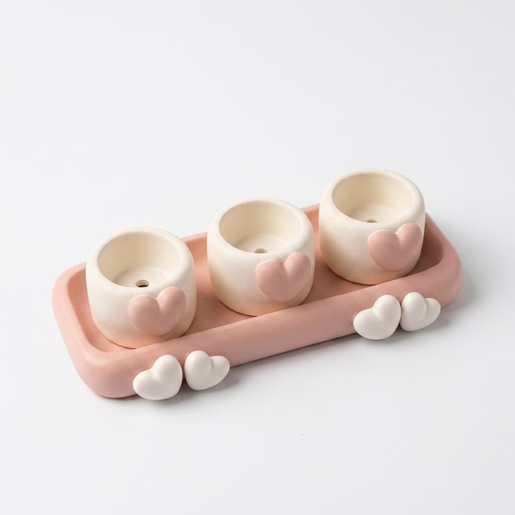 Heart-Shaped Succulent Planter with Tray