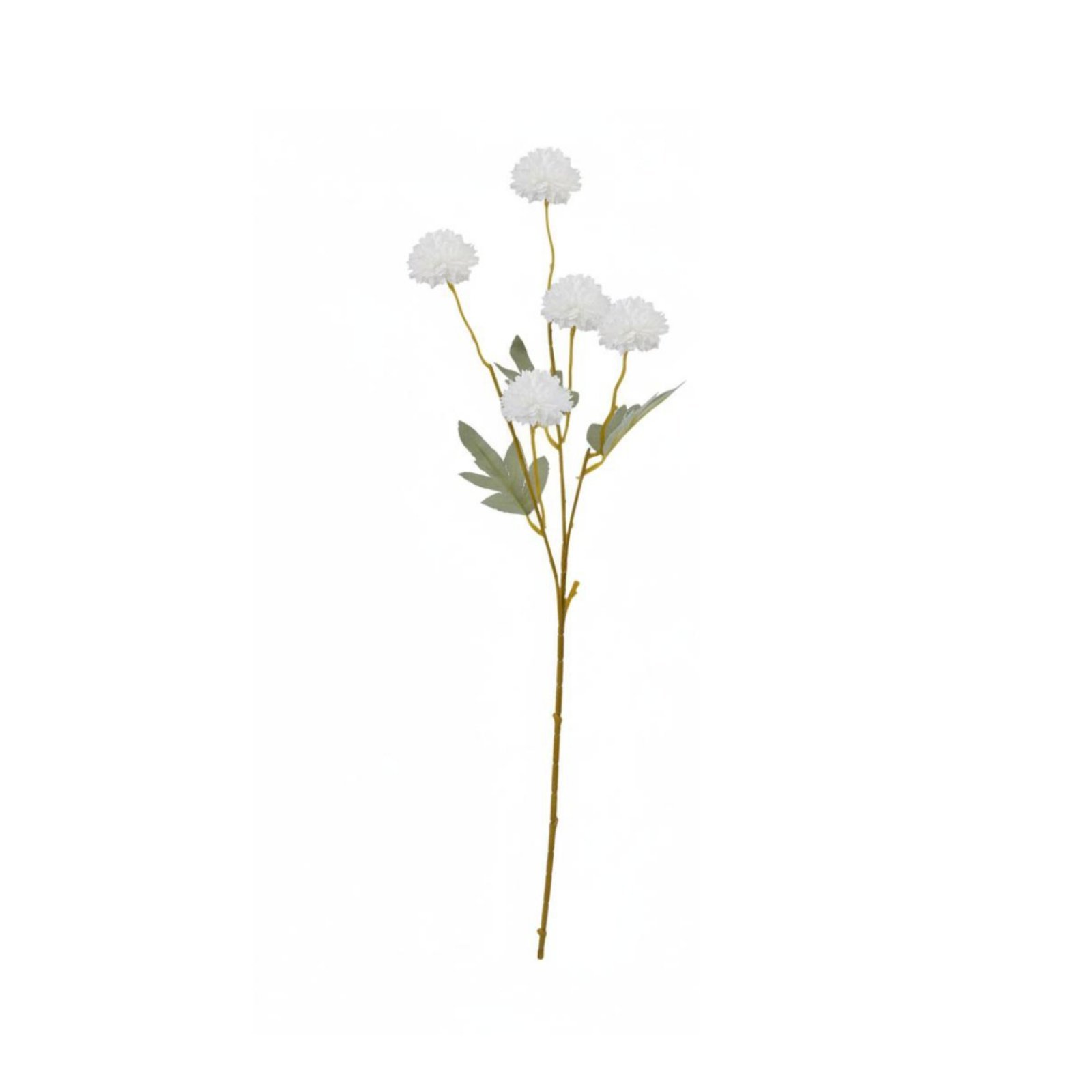 Chrysanthemum Spray Stem