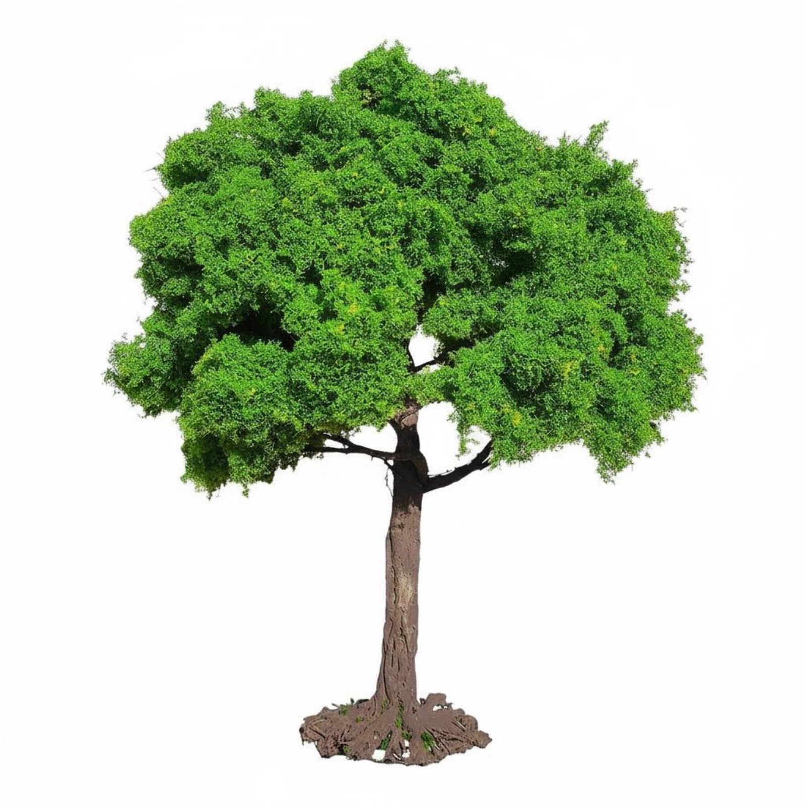 Model Roadside Tree