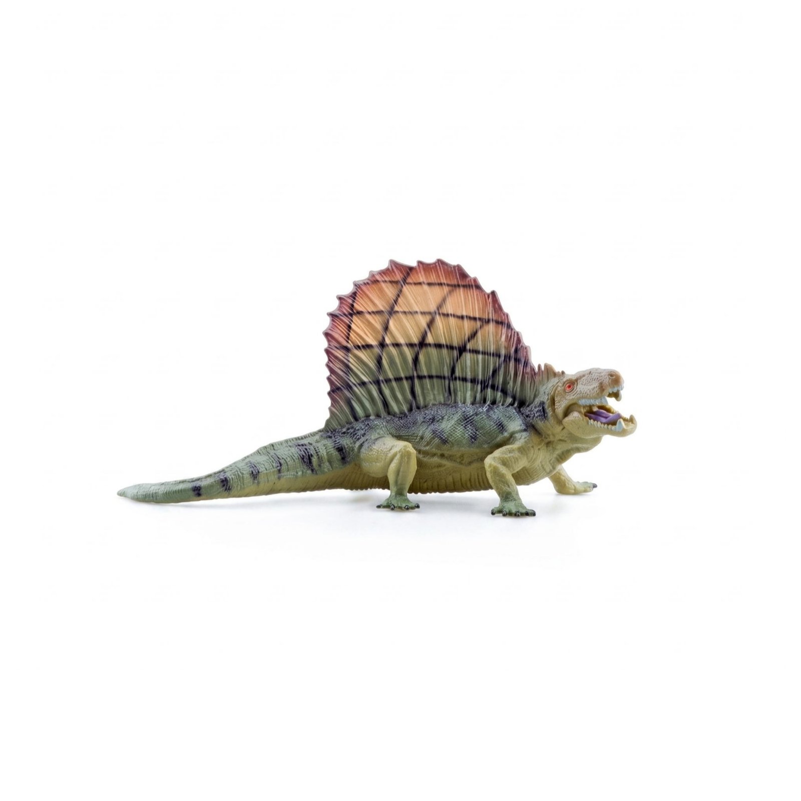 Dimetrodon Model Body
