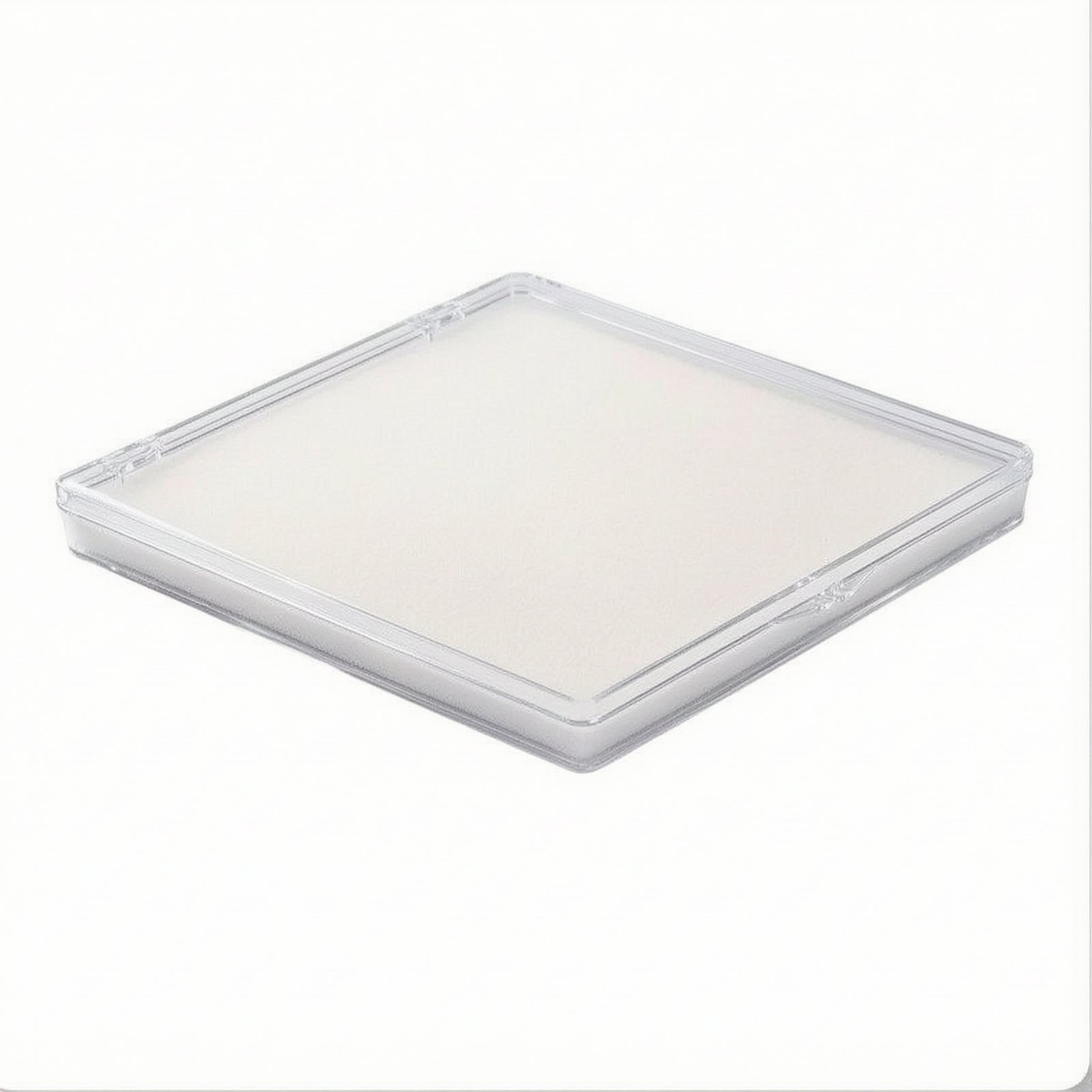 Bead Storage Box with Foam Insert