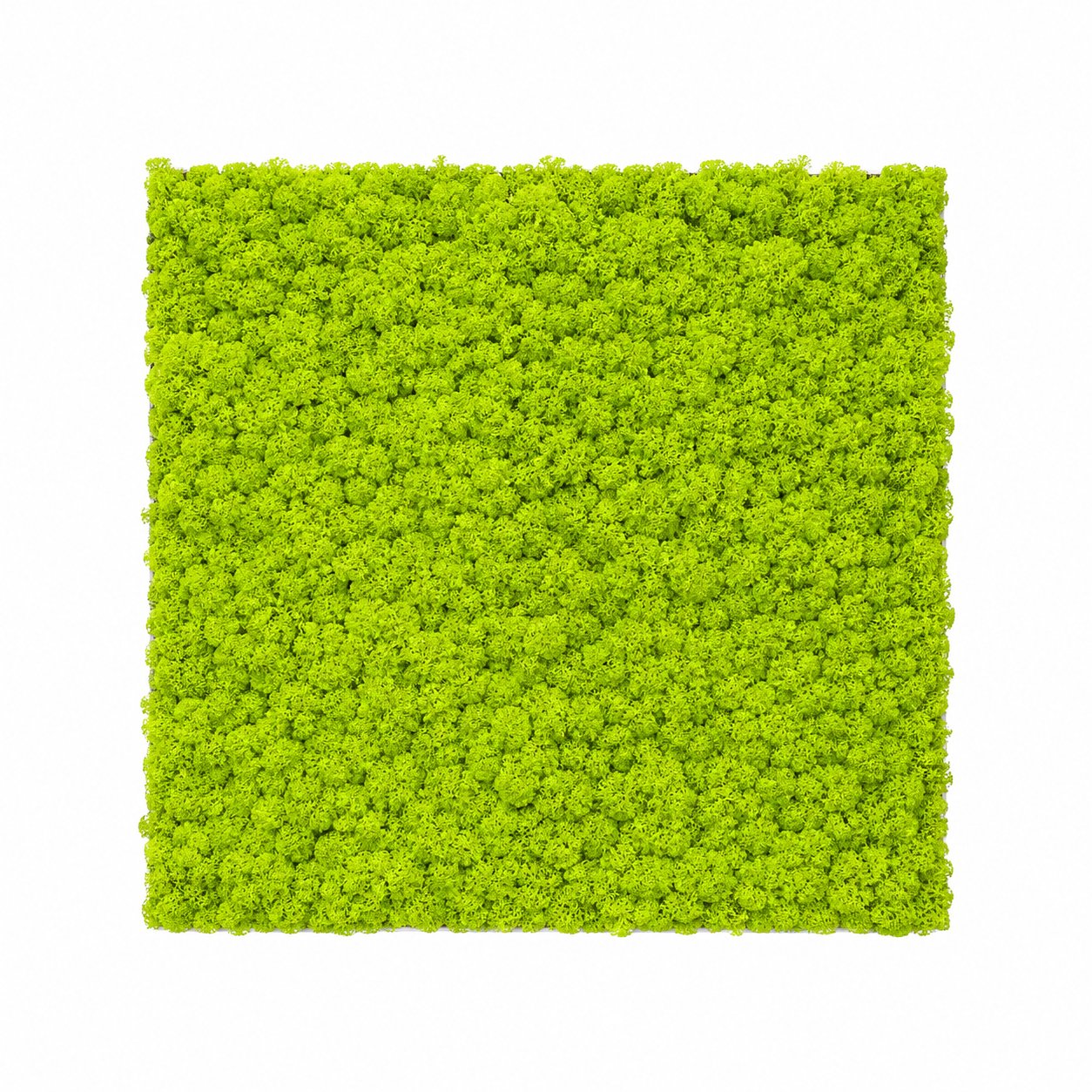 Preserved Moss Artificial Plant Wall