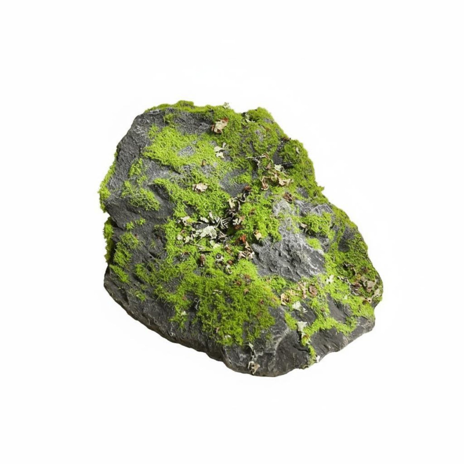 Foam Garden Rock