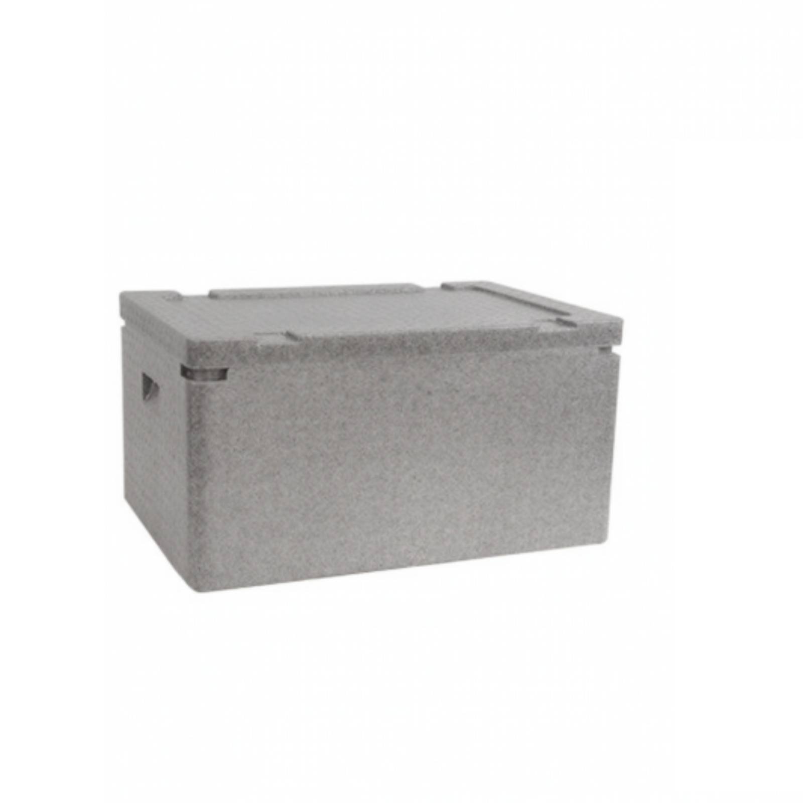 Insulated Container 50kg Load Capacity