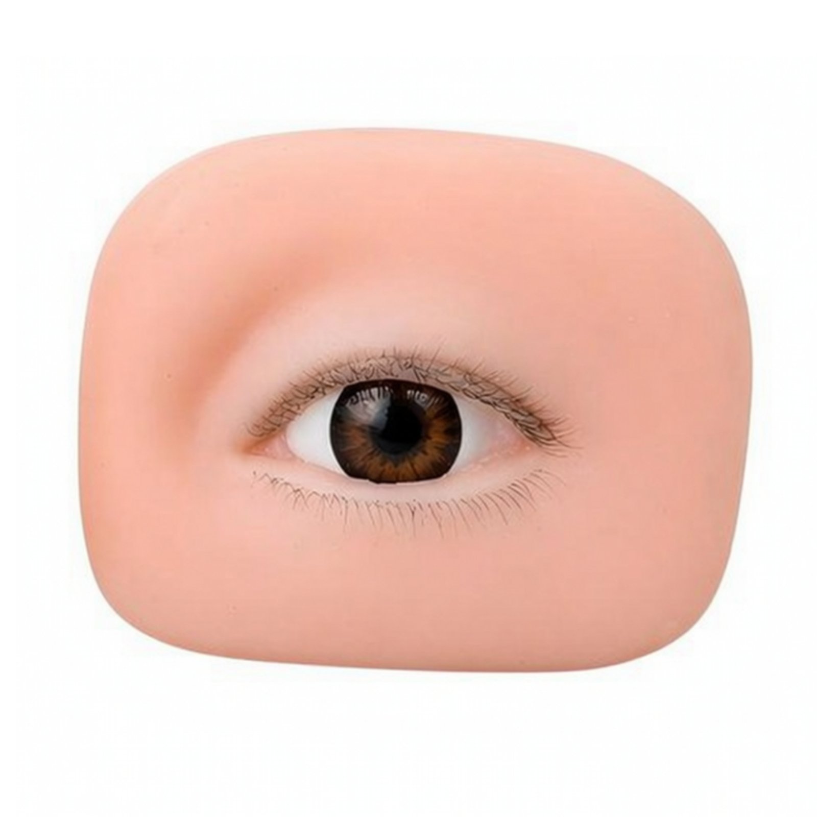 False Eyelash Practice Eye Module