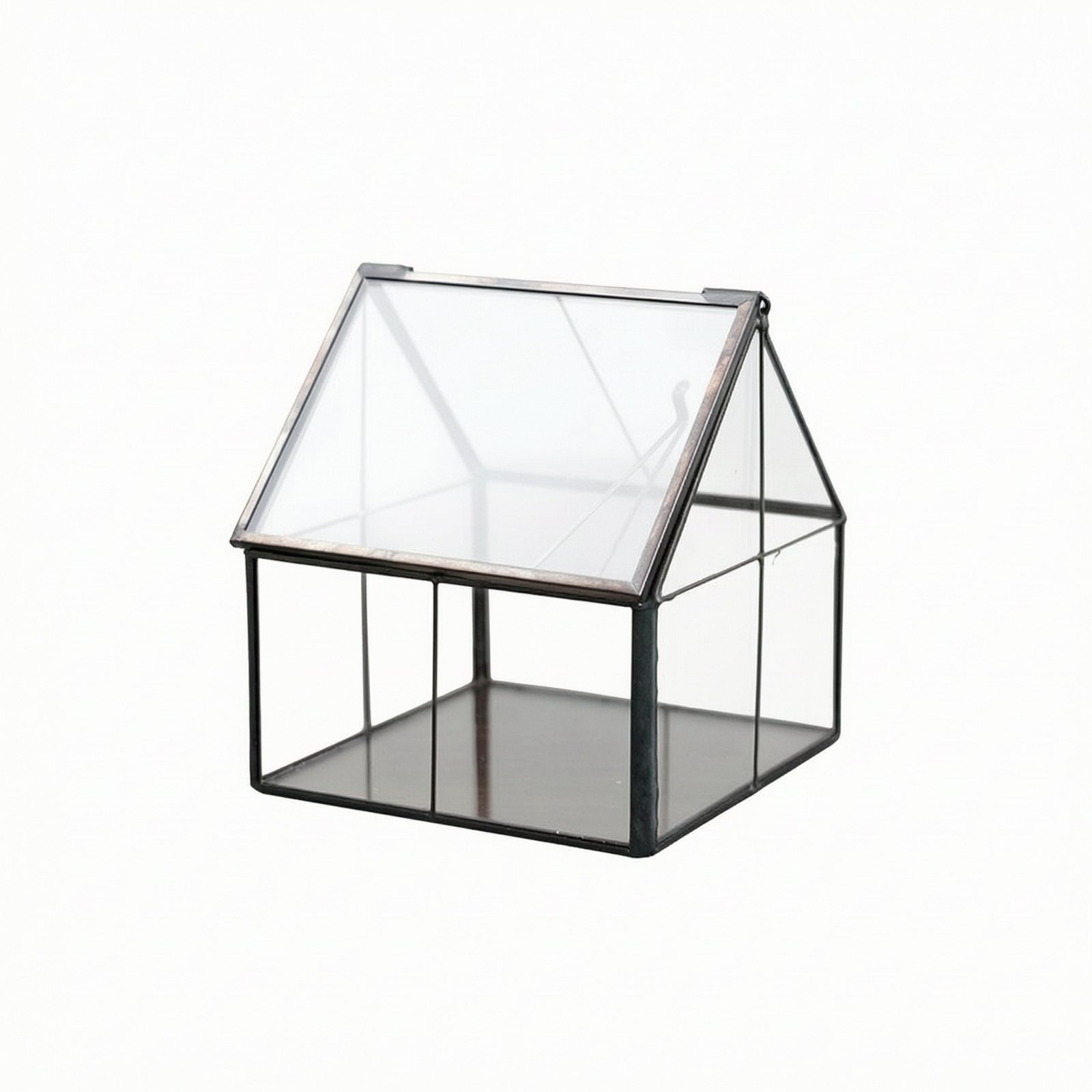 Geometric Glass Display Greenhouse