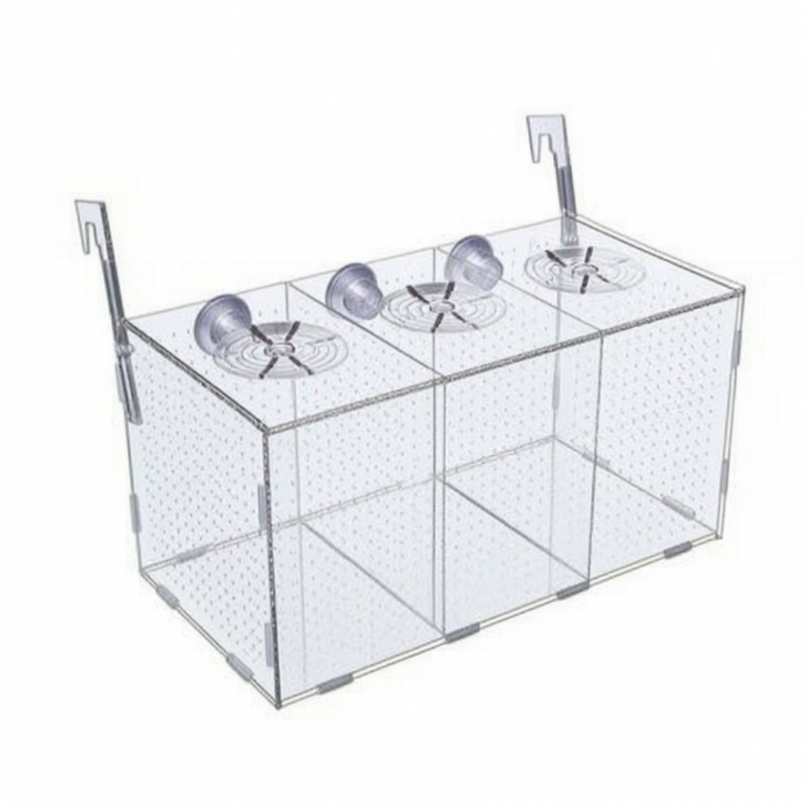 Aquarium Separation Box Perforated