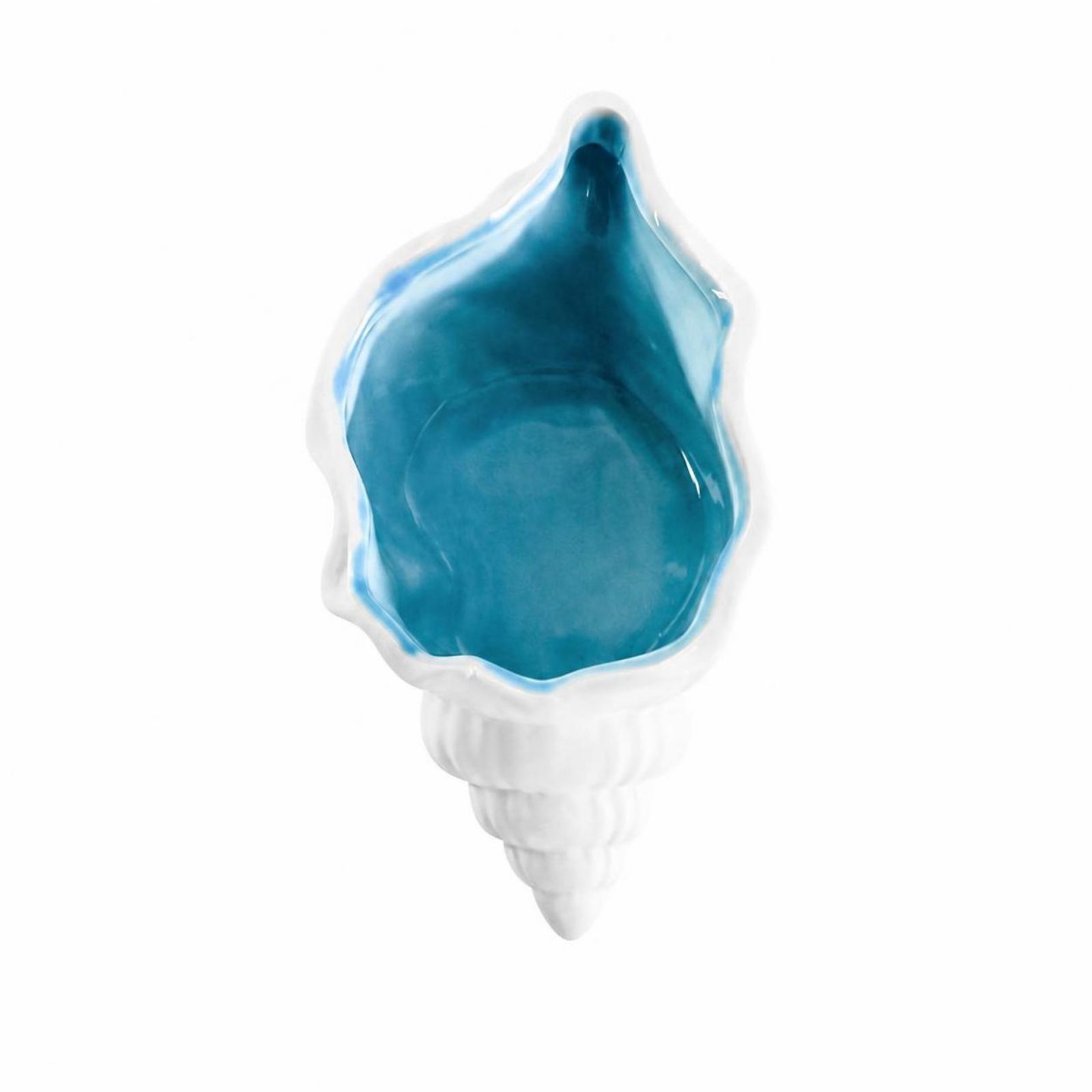Set of 5 Shell-Shaped Resin Container