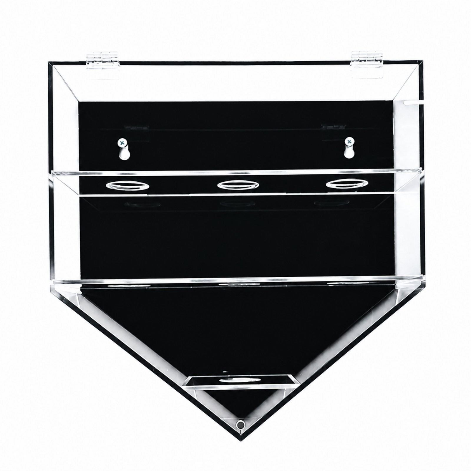 Baseball Display Case