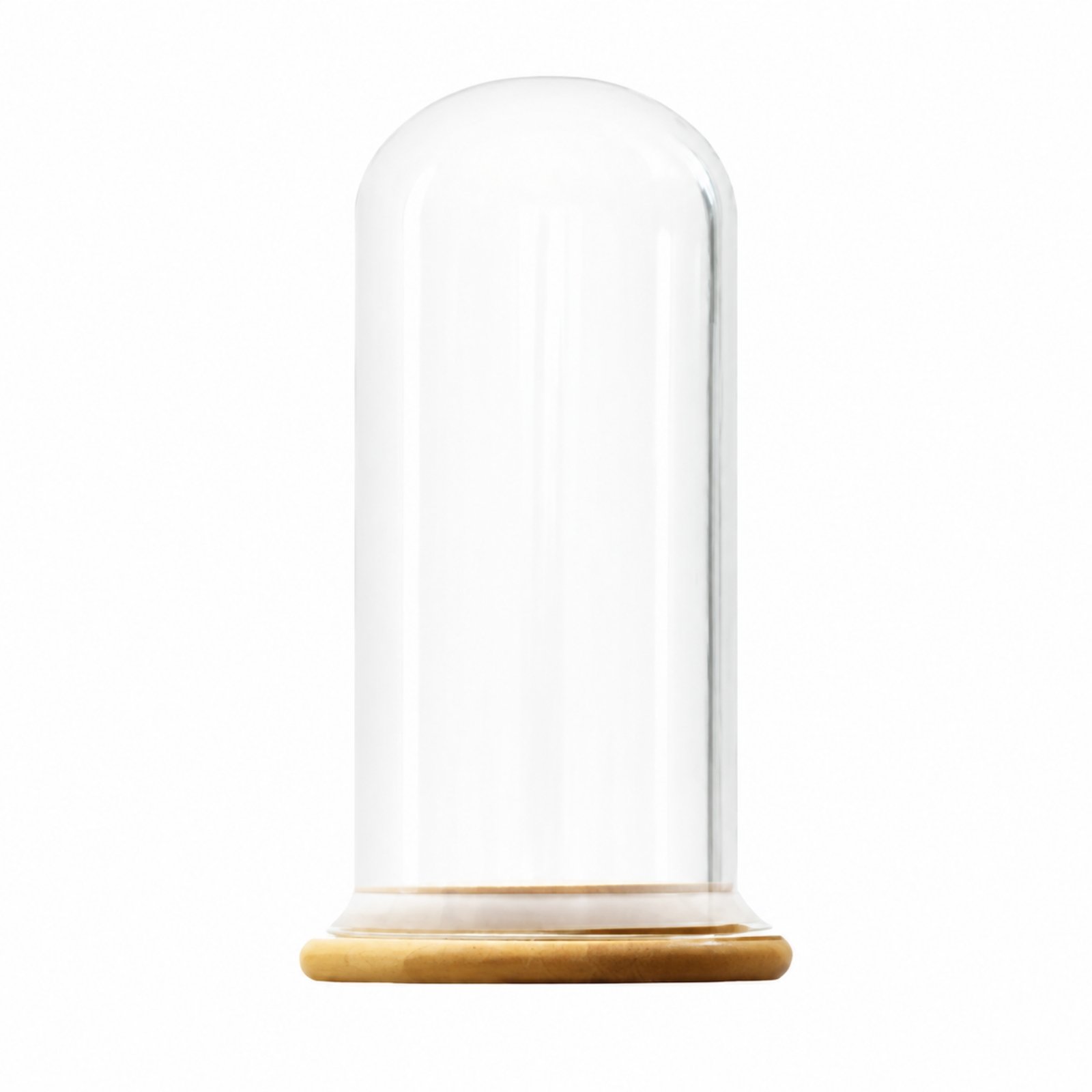 Glass Cloche Dome with Bamboo Base