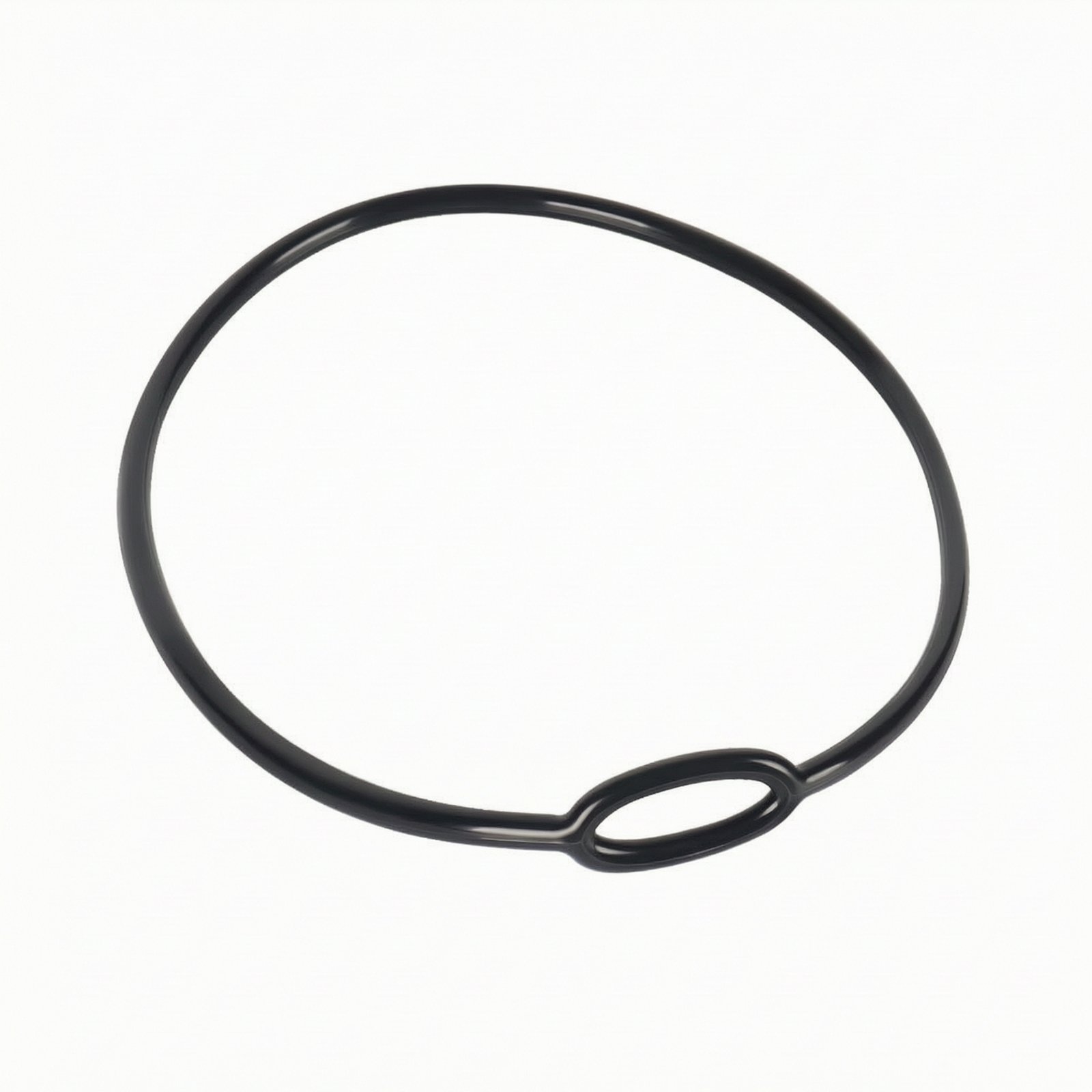 Scuba Regulator Neck Loop