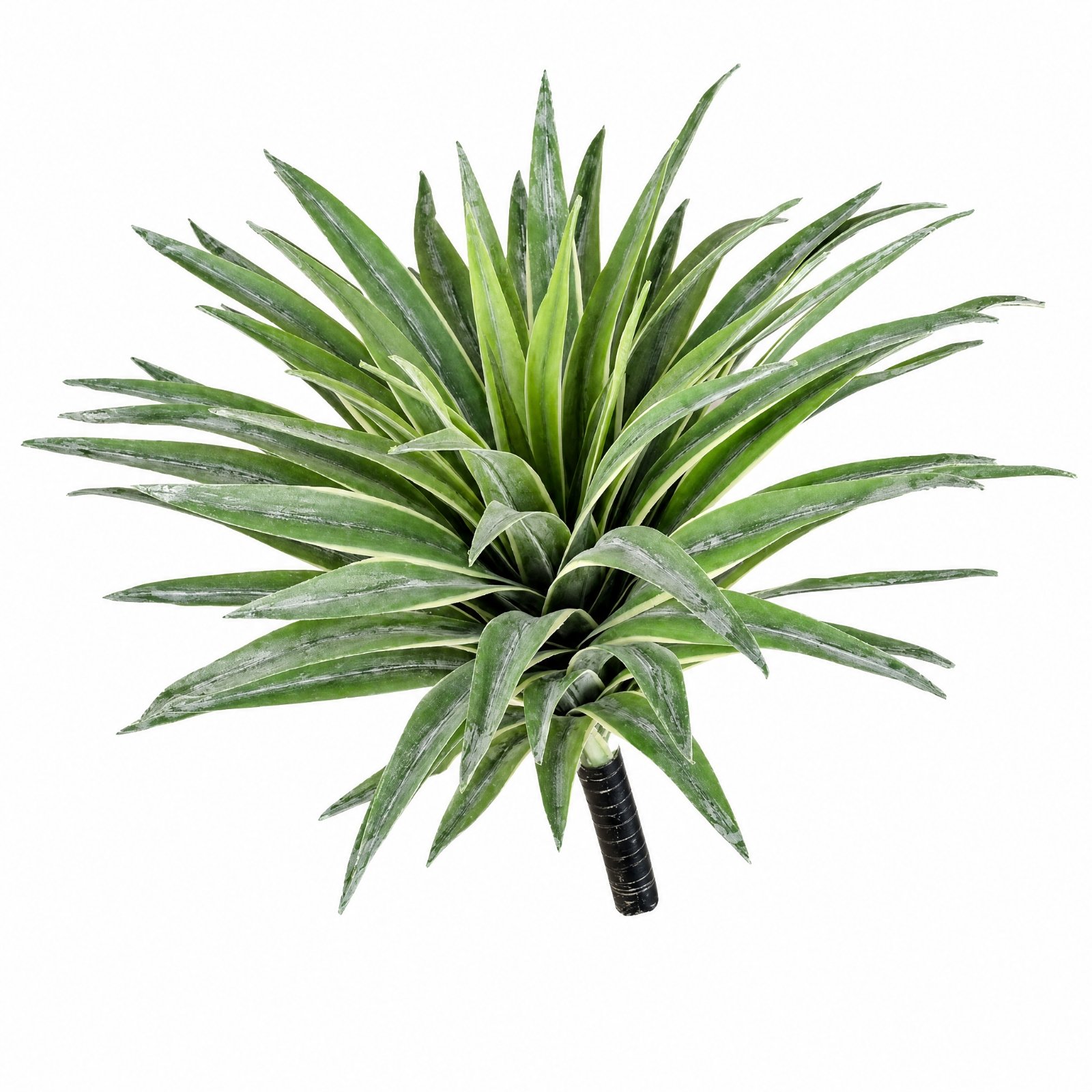 Artificial Agave with Black-Wrapped Stem