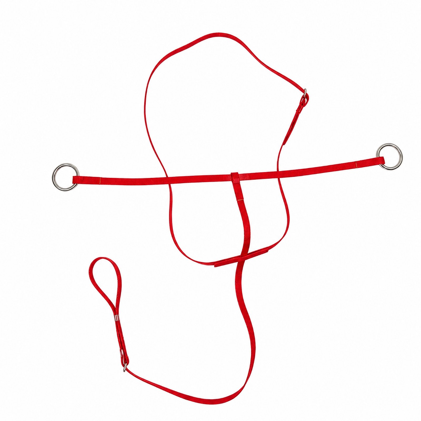 TPU Riding Training Strap