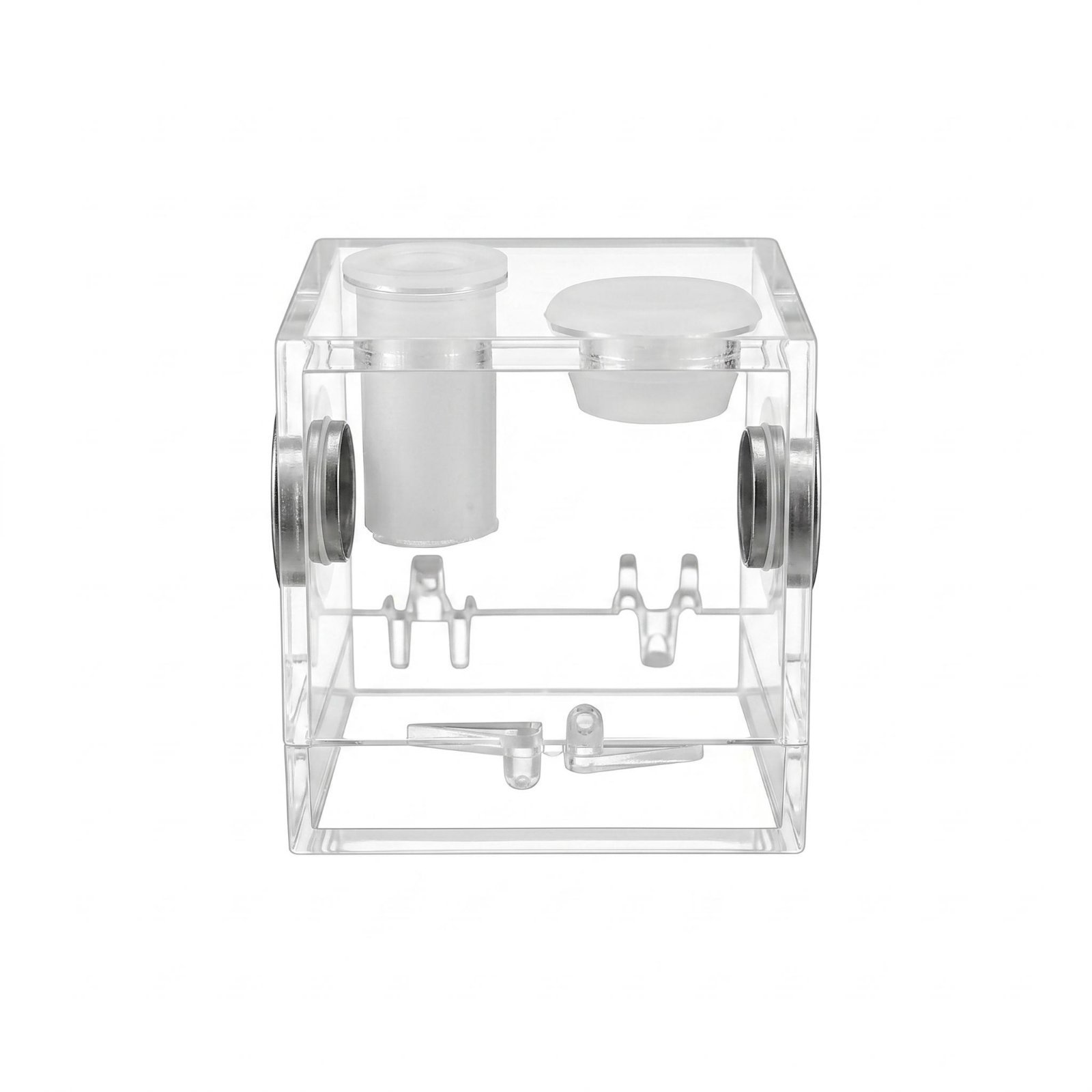 Acrylic Arachnid Enclosure