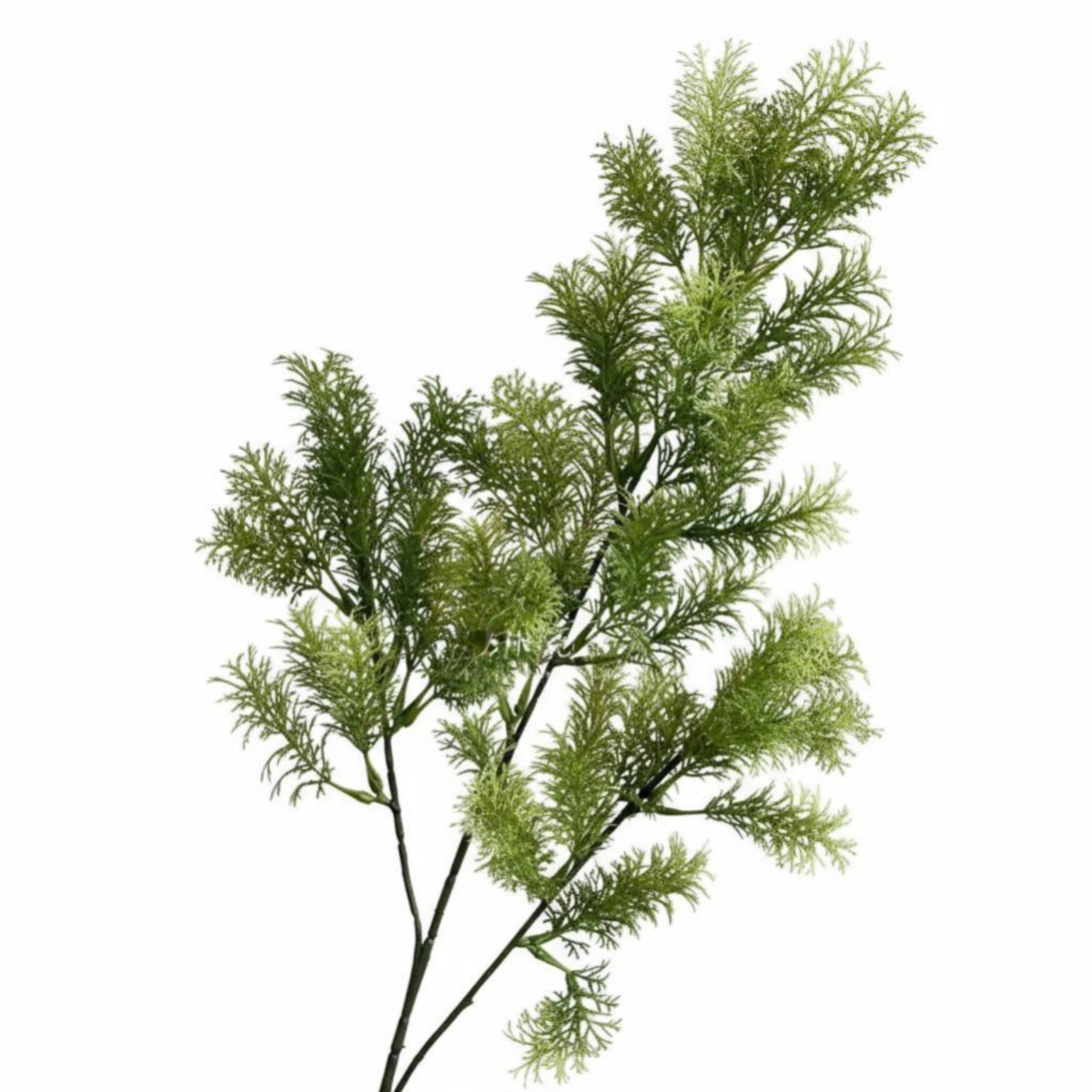 Artificial Podocarpus Branch
