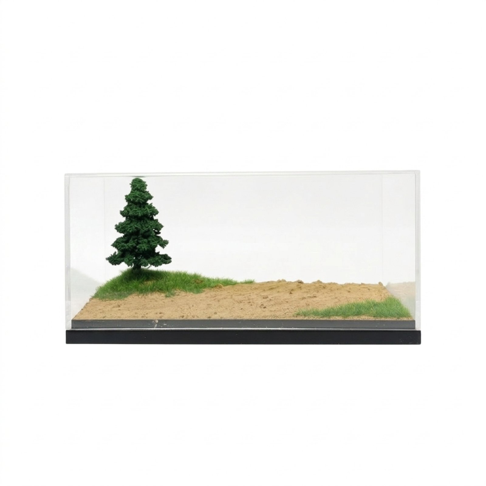 Display Case with Diorama