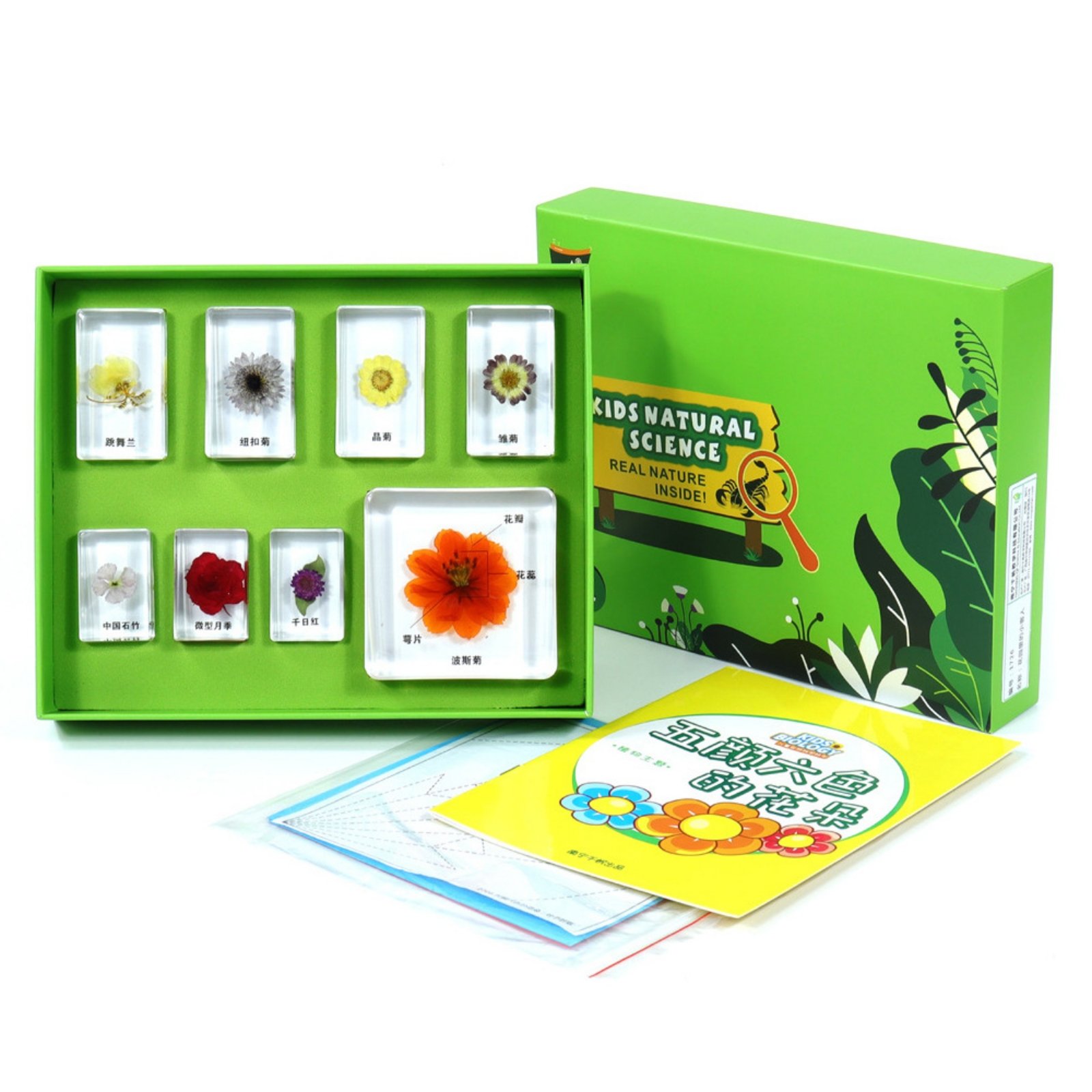Resin Sample Blocks with Tray