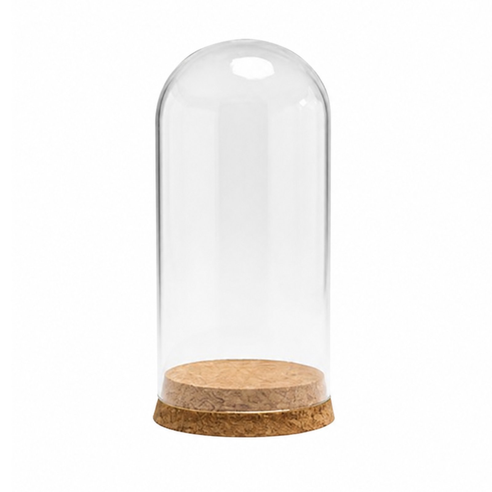 Glass Showcase Dome with Cork Base