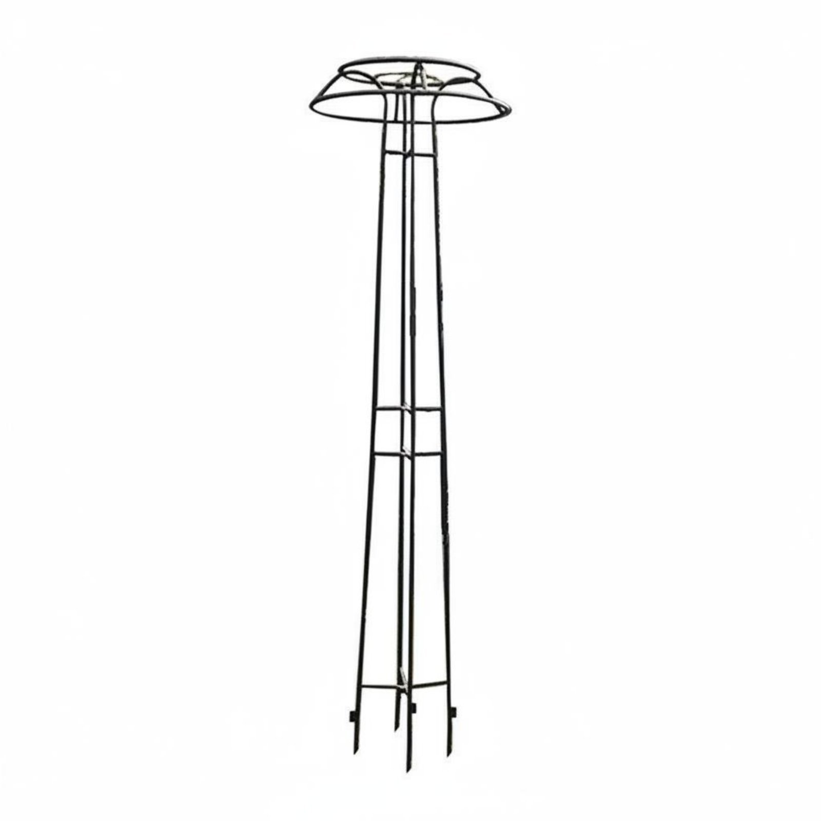 Wrought Iron Plant Cage