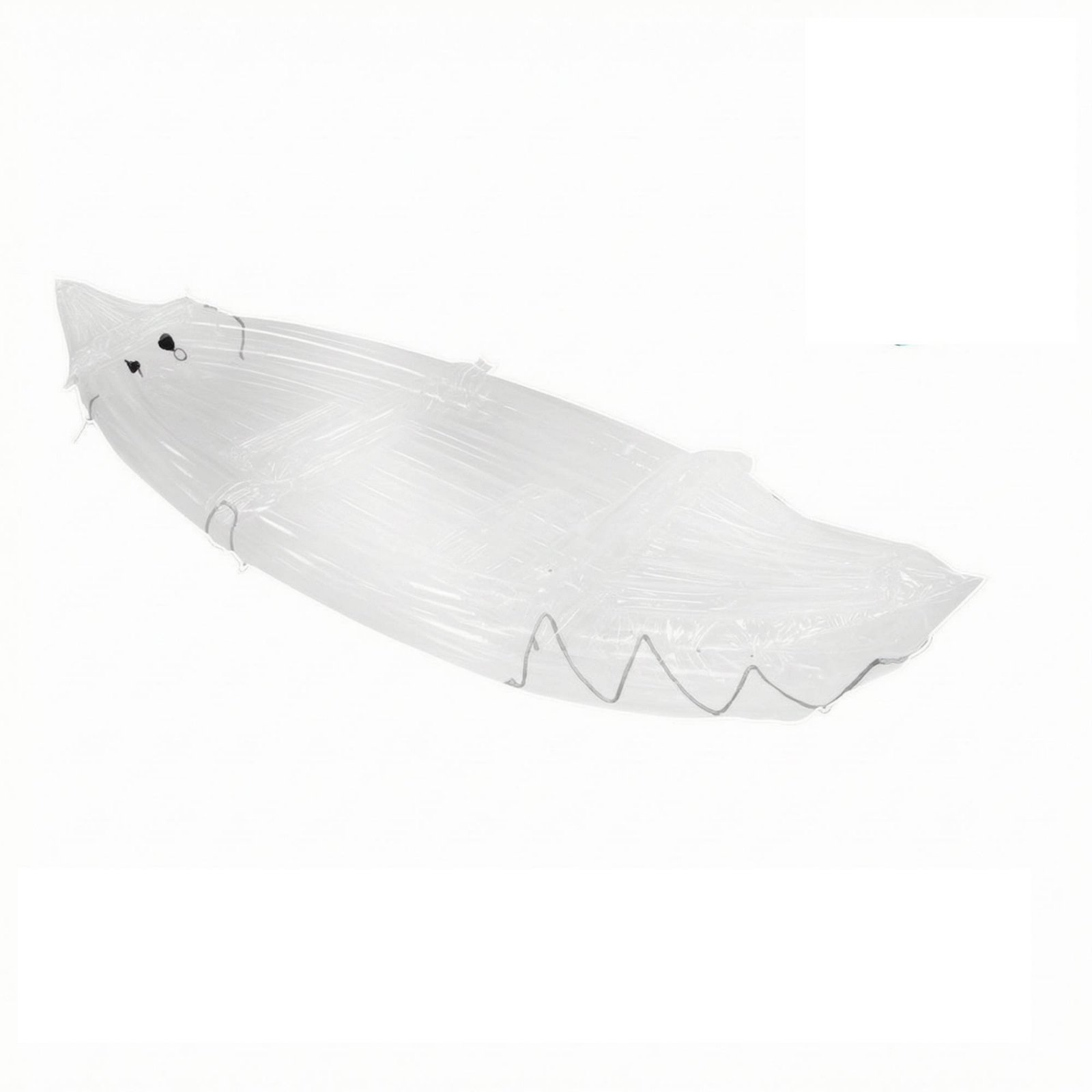 Clear Inflatable Boat