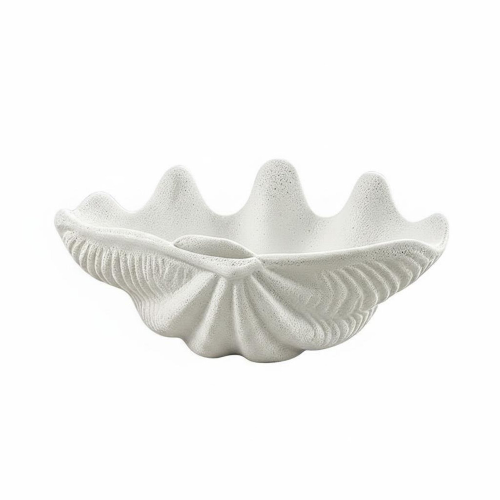 Clam Shell Bowl Decorative