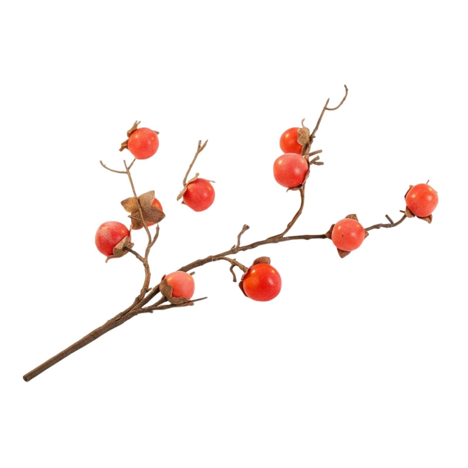 Frosted Persimmon Branch