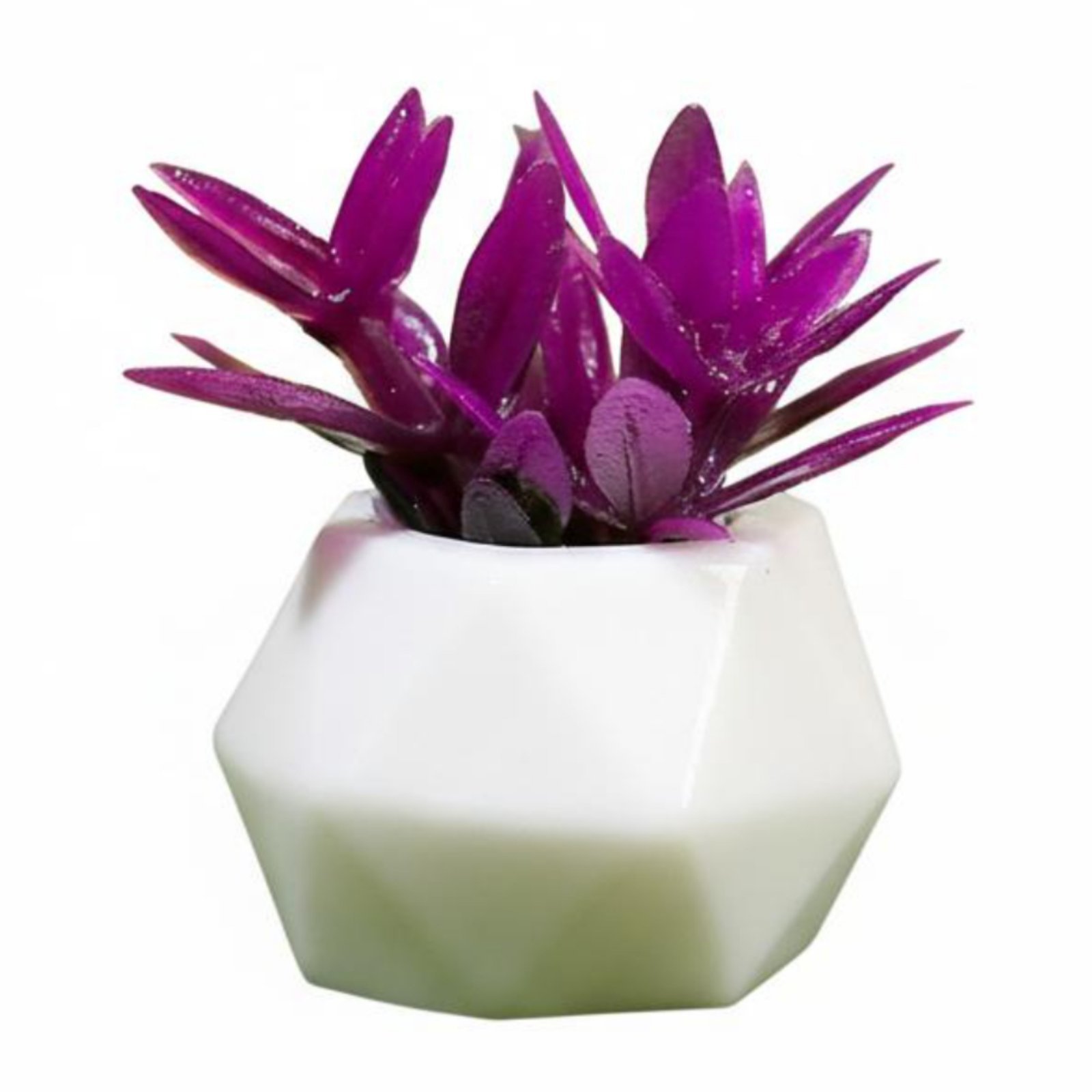 Small Landscape Plant Ornament