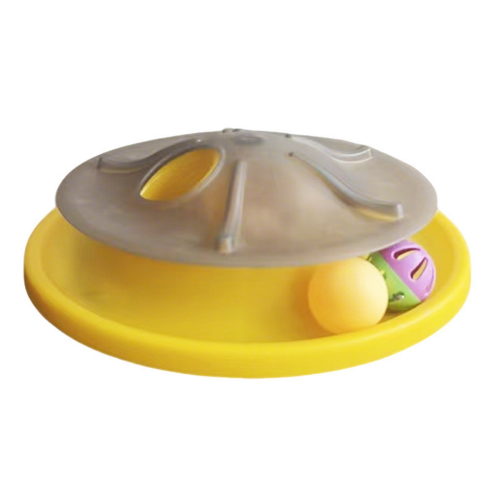 Cat Teaser Toy