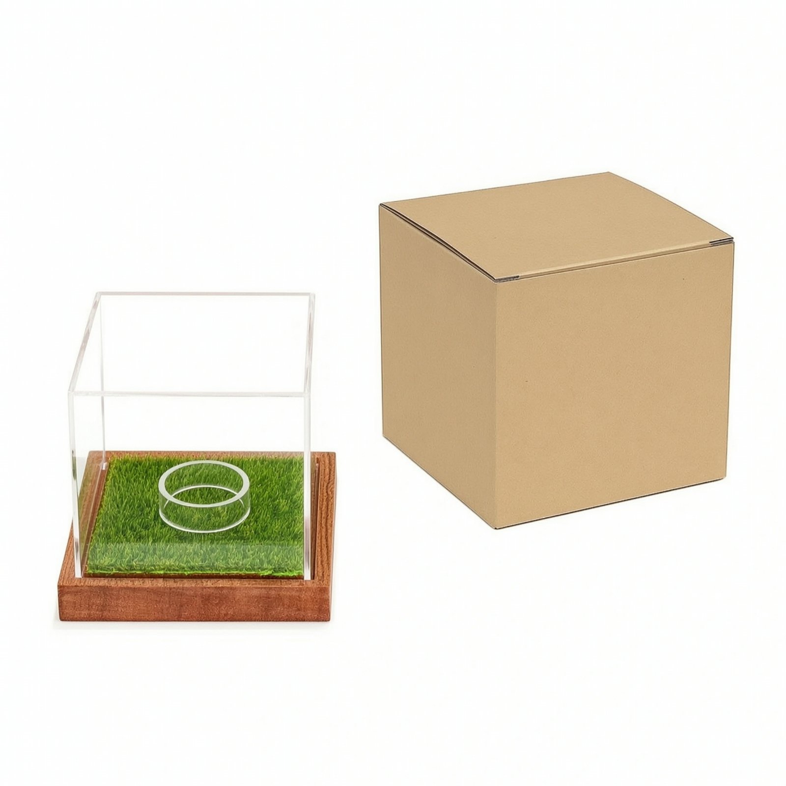 Golf Ball Display Case with Wood Base