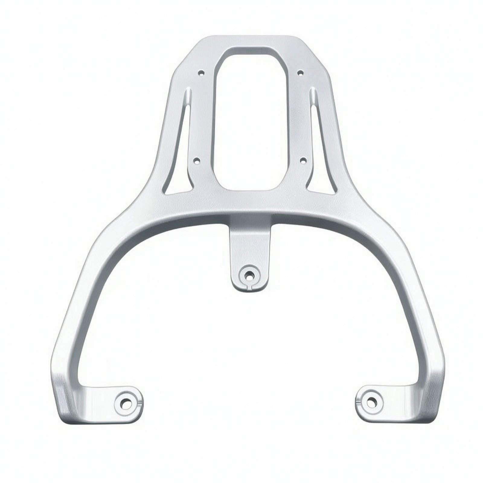 Rear Luggage Rack
