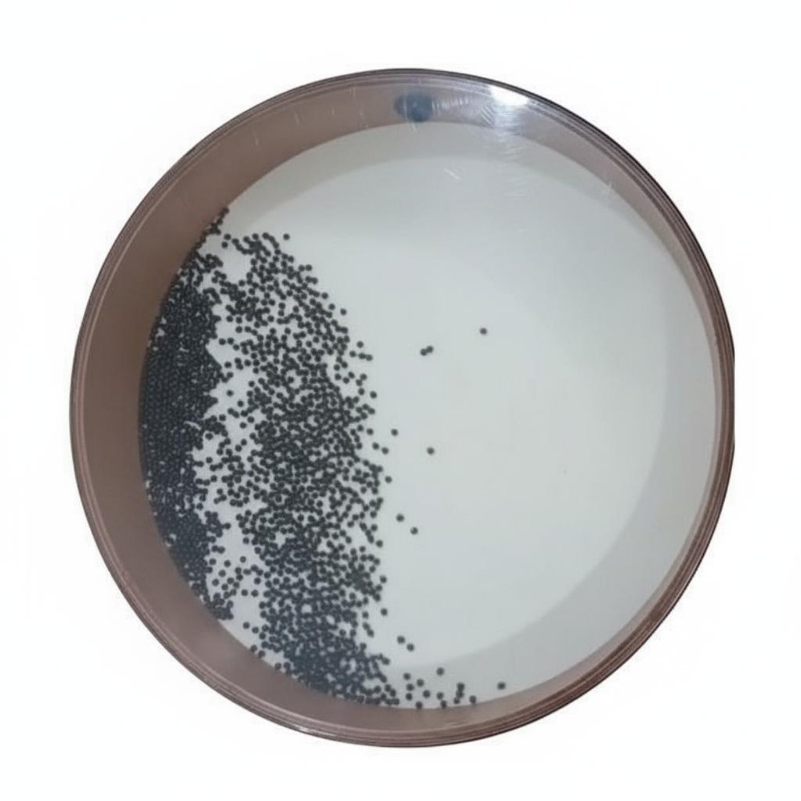 Bead Rain Drum Shaker
