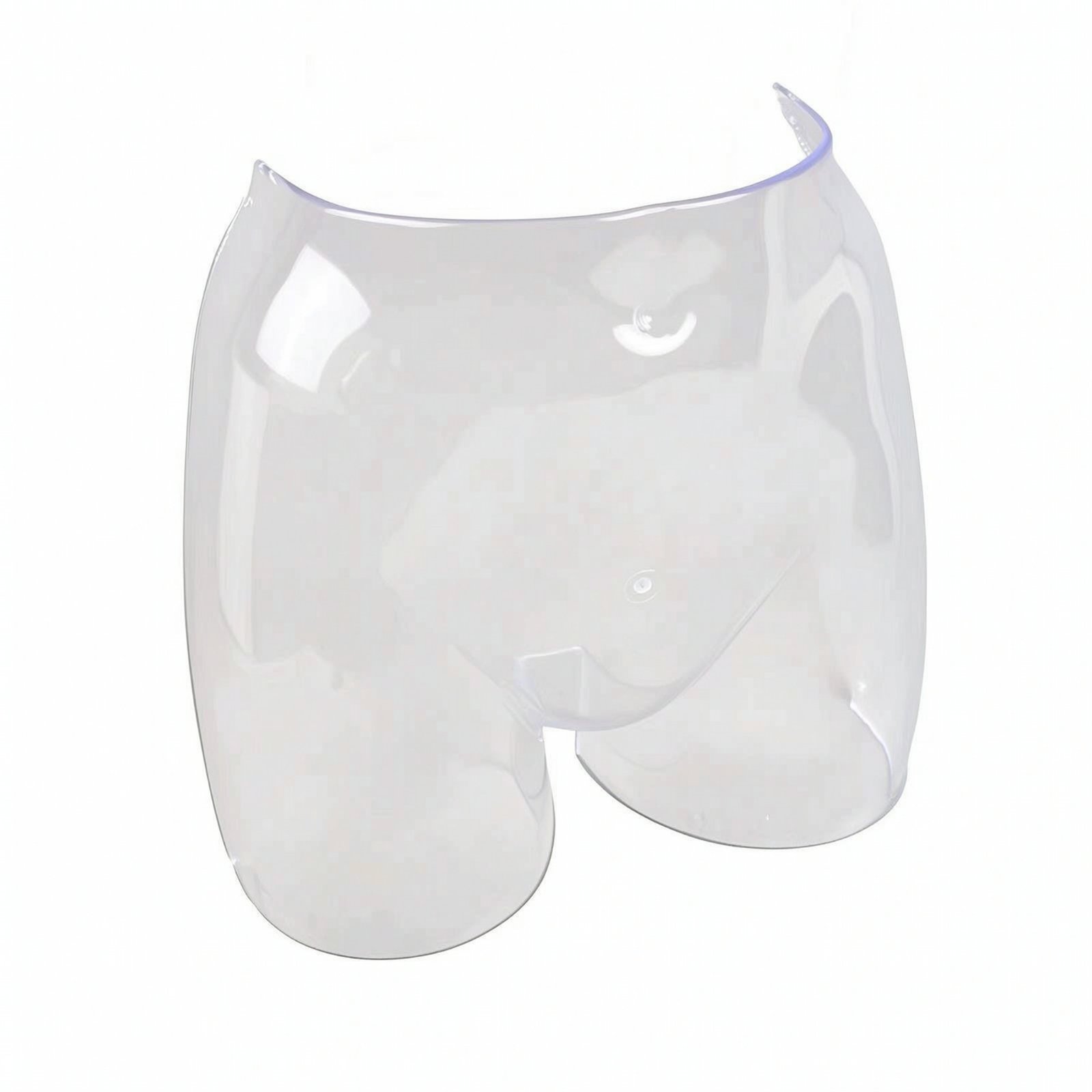 Transparent Underwear Display Form