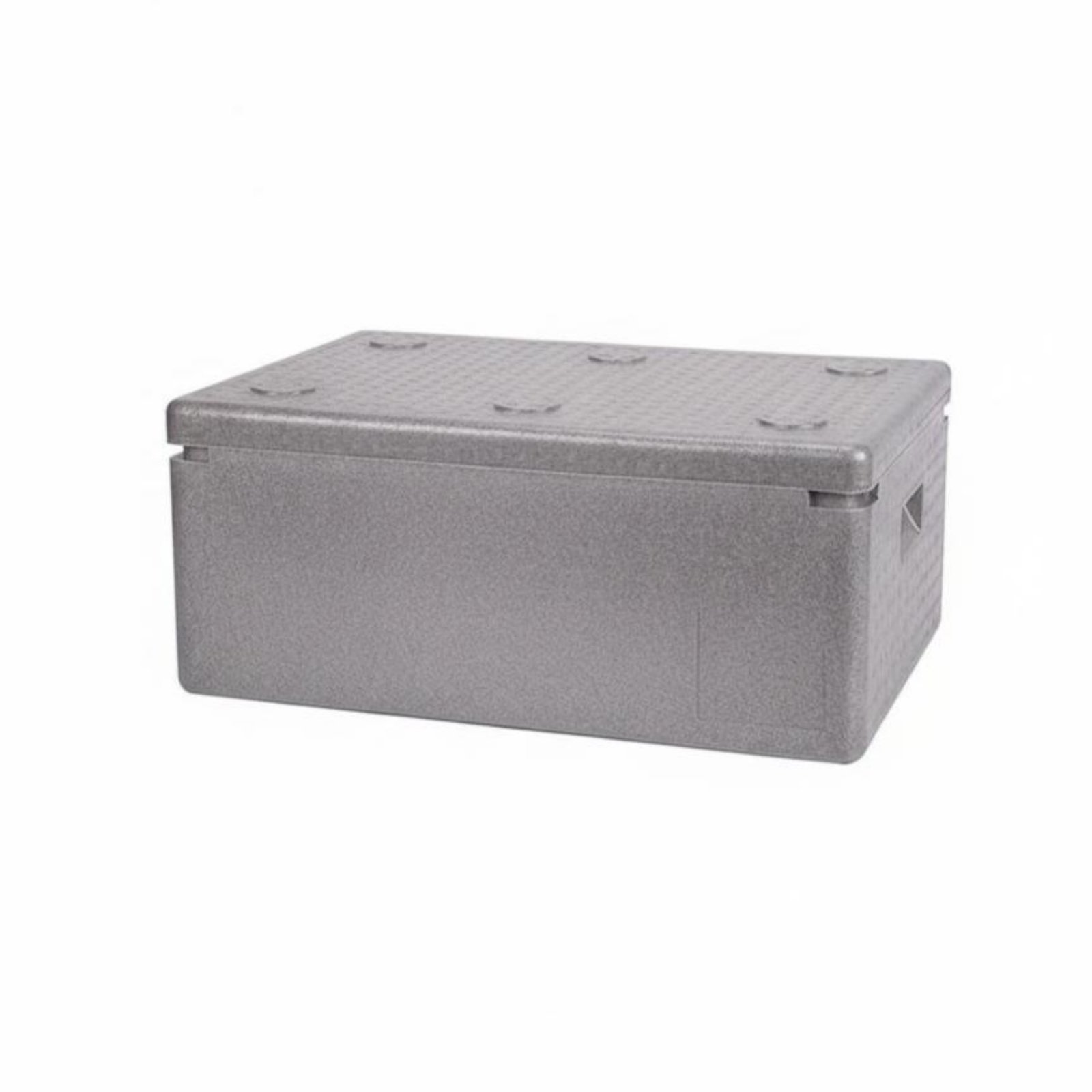 Insulated Food Container