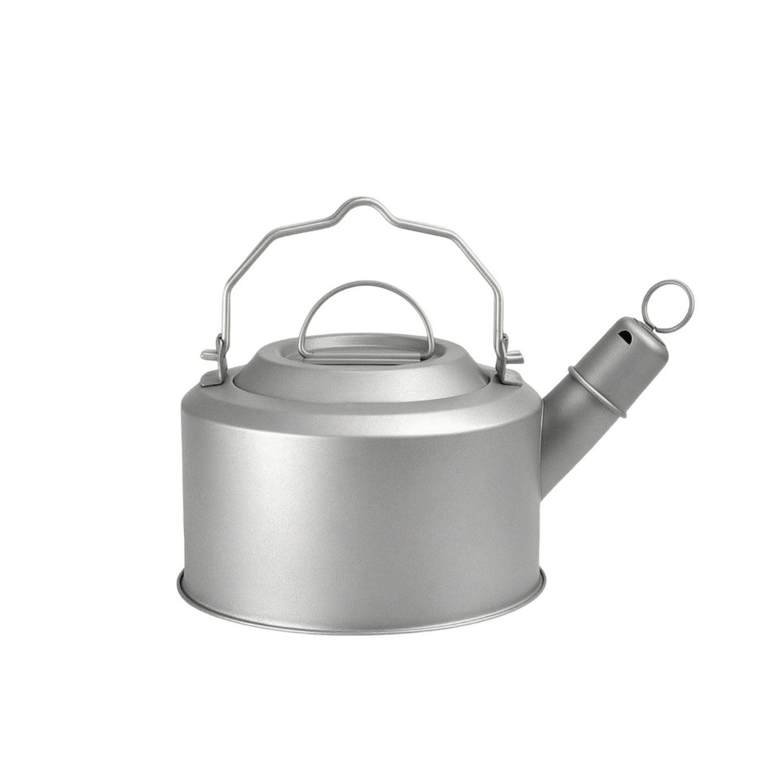 Whistling Tea Kettle