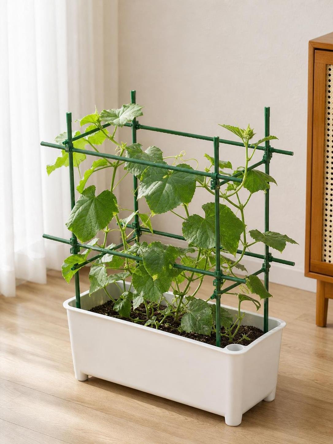 Tomato Cage Support Stakes