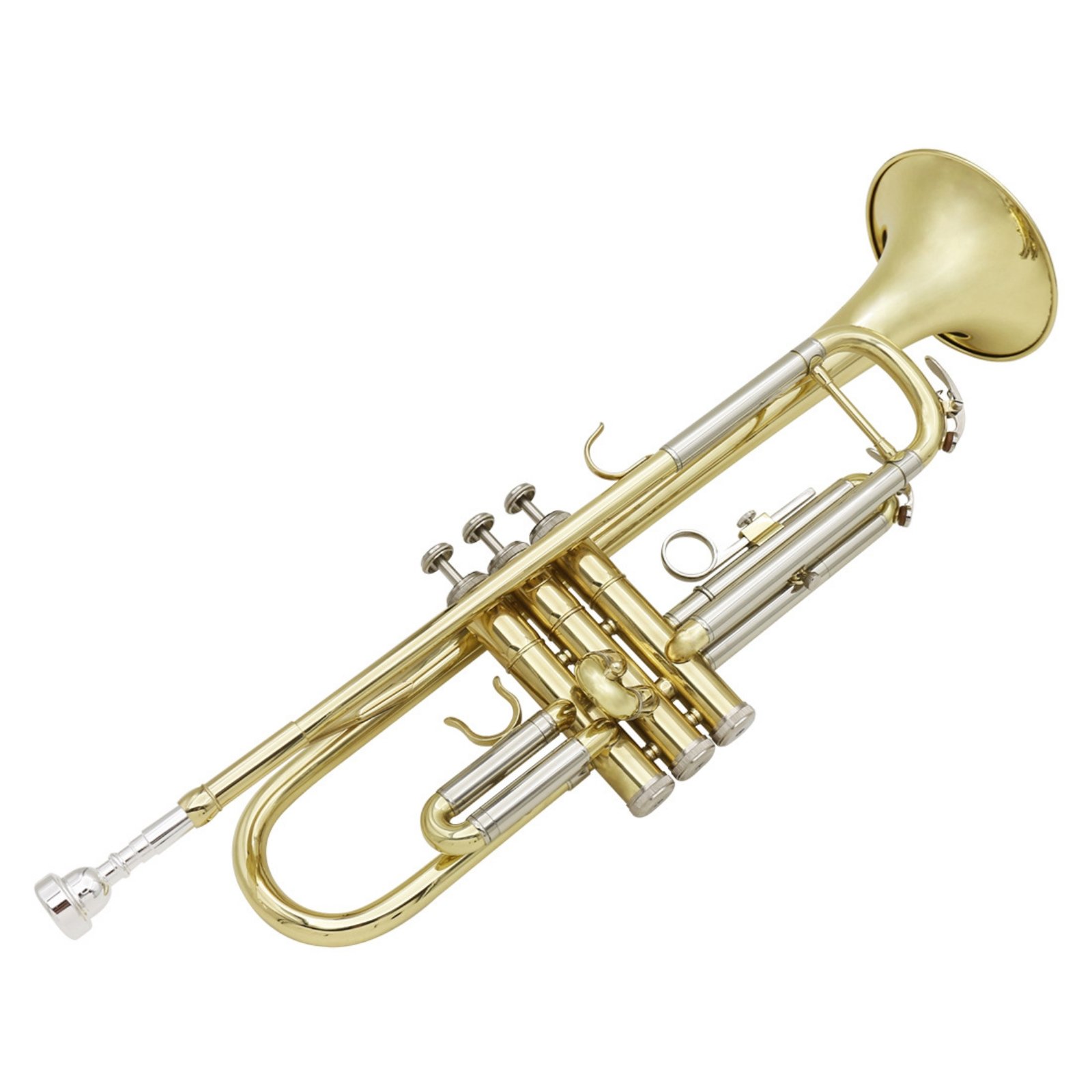Bi-Color Trumpet with Case