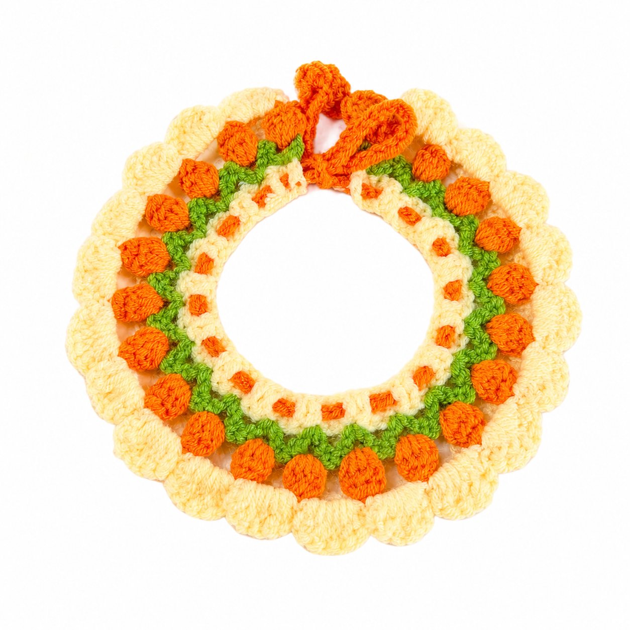 Pet Collars