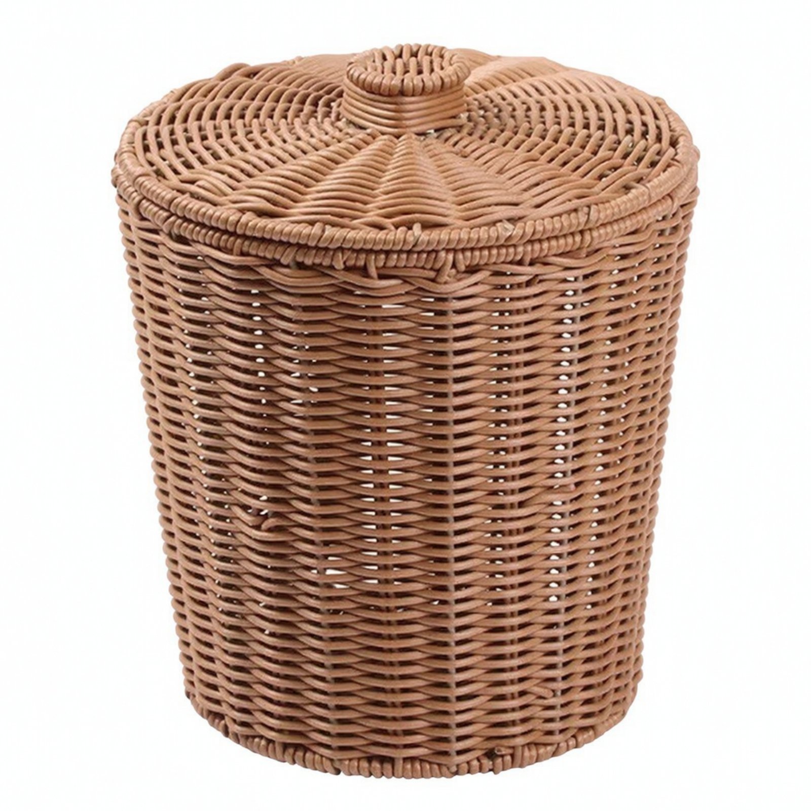 Storage Bin with Lid
