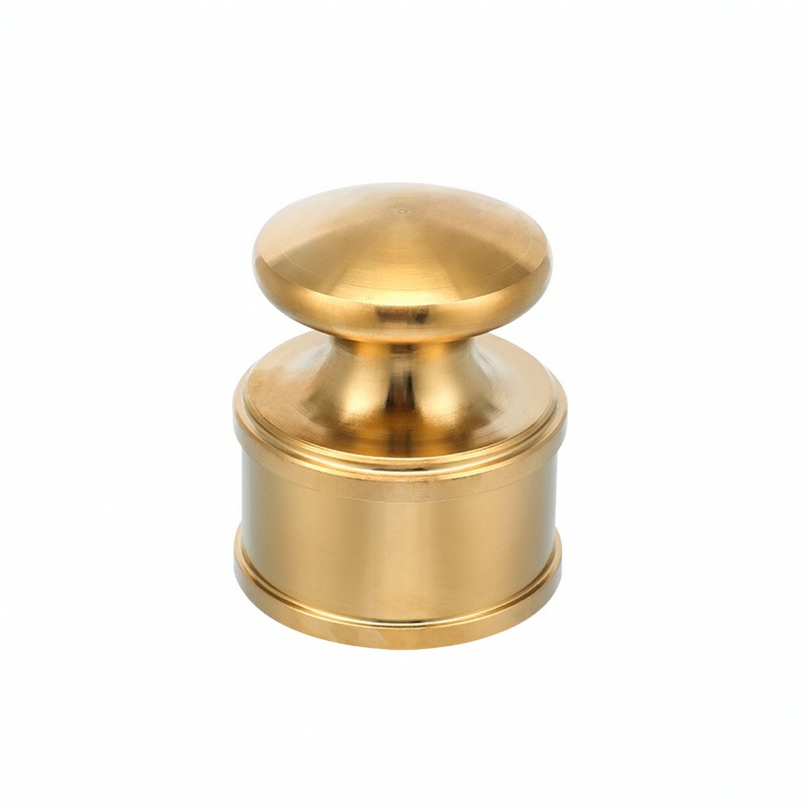 Stainless Leather Weight