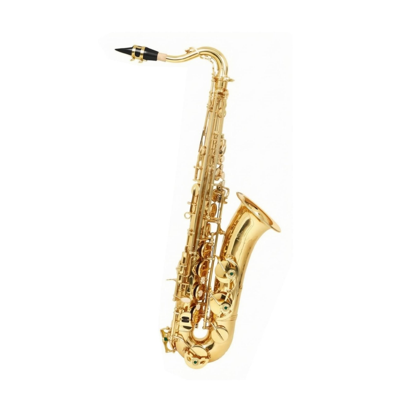 Gold Lacquered Alto Saxophone