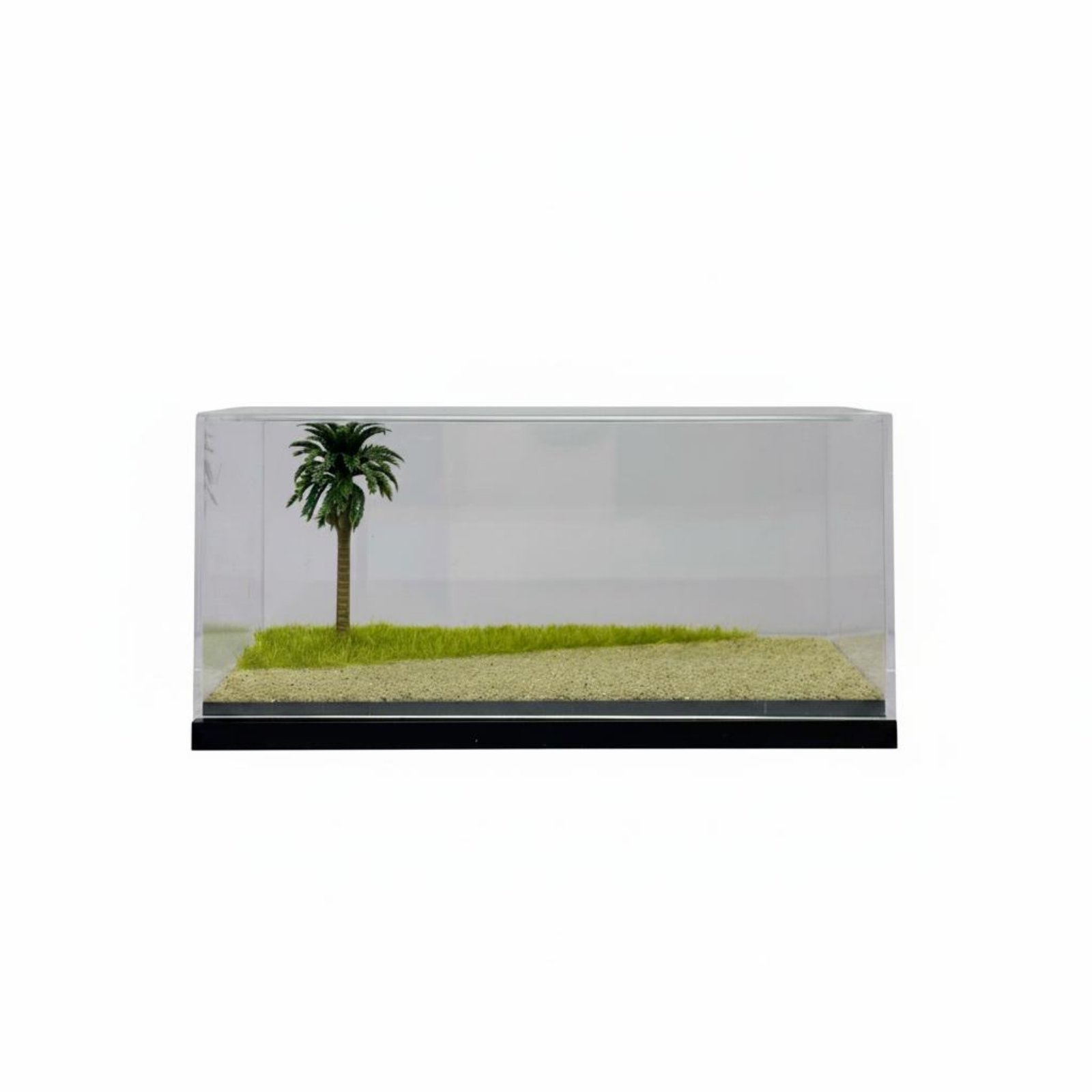 1:64 Scale Display Case