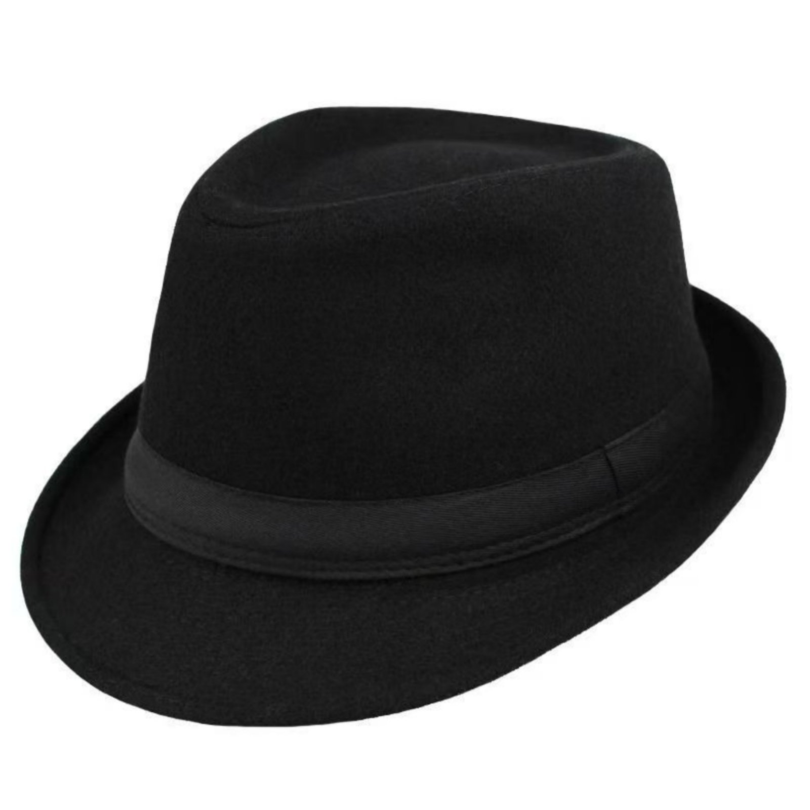 Winter Fedora